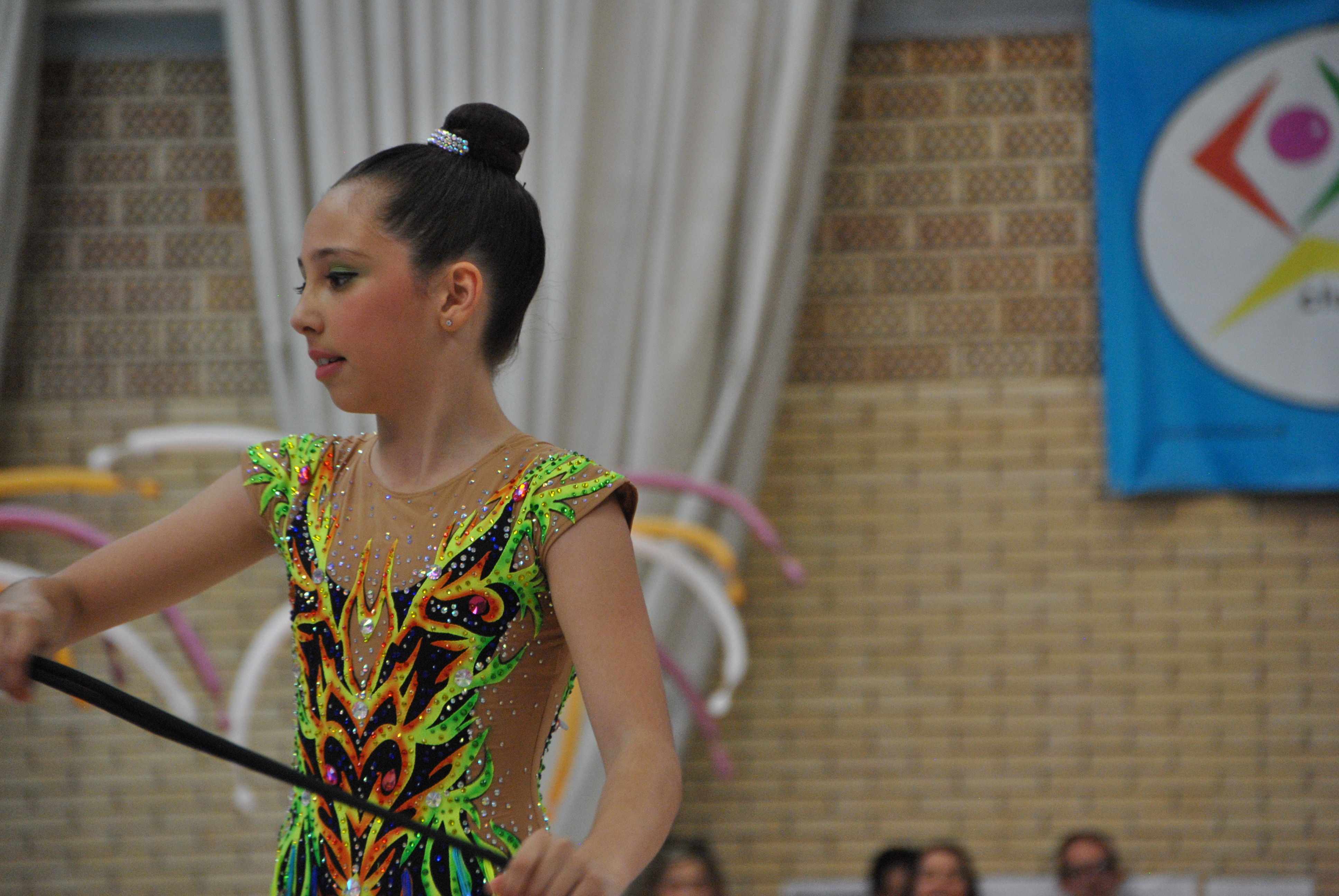 Exhibicion club ritmica Alfaro junio 18 755