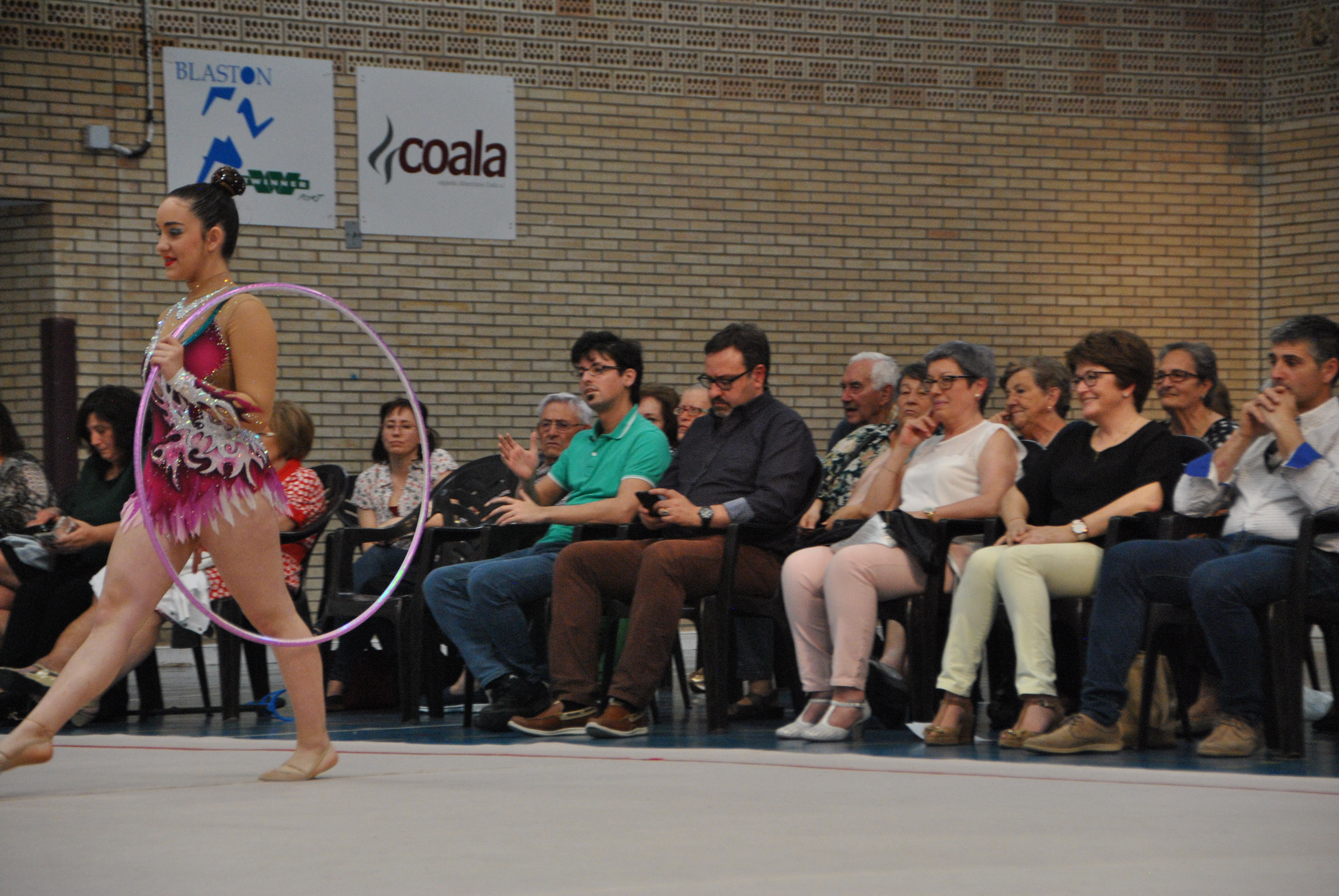 Exhibicion club ritmica Alfaro junio 18 760