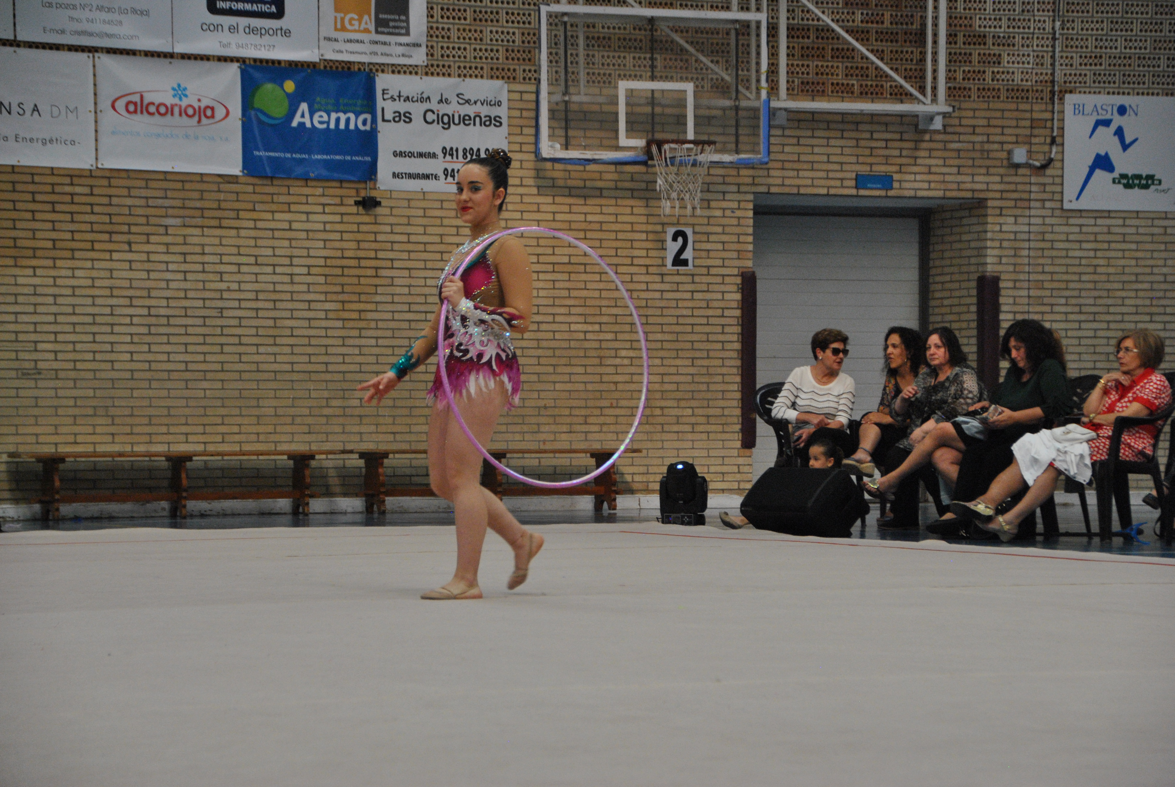 Exhibicion club ritmica Alfaro junio 18 761