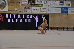 Exhibicion club ritmica Alfaro junio 18 763