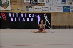 Exhibicion club ritmica Alfaro junio 18 764