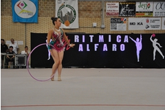 Exhibicion club ritmica Alfaro junio 18 772