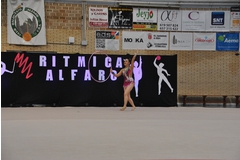 Exhibicion club ritmica Alfaro junio 18 779