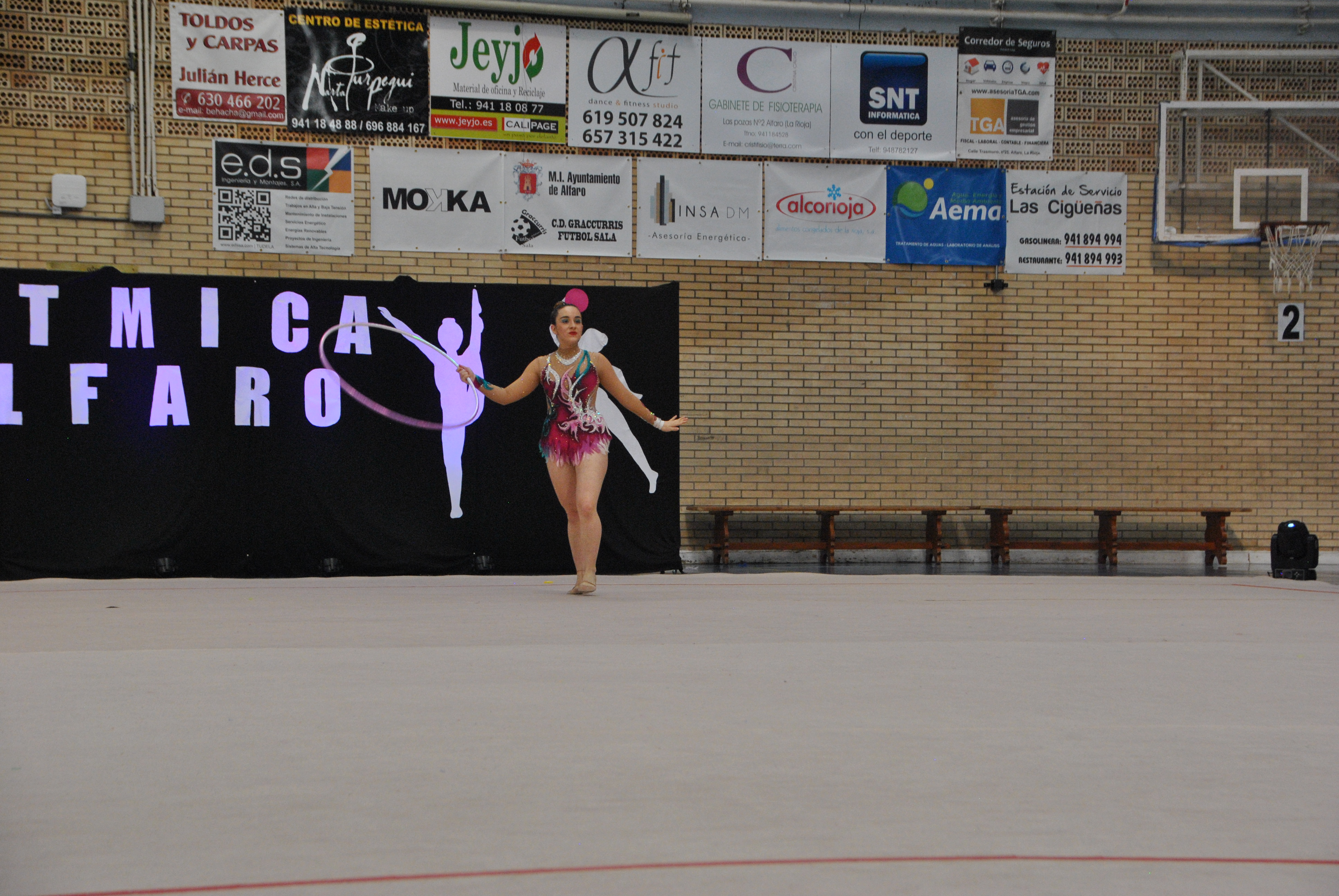 Exhibicion club ritmica Alfaro junio 18 780