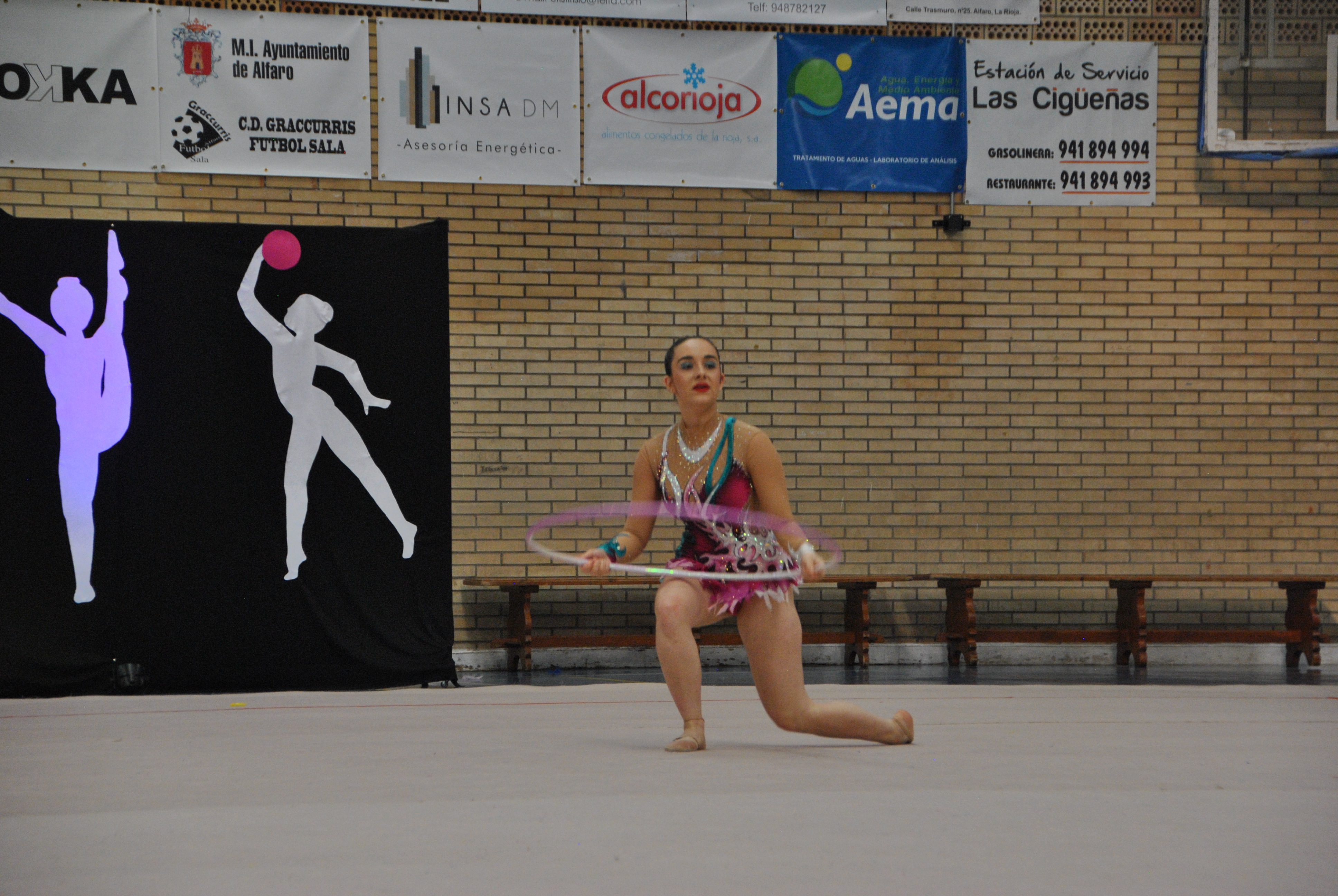 Exhibicion club ritmica Alfaro junio 18 782