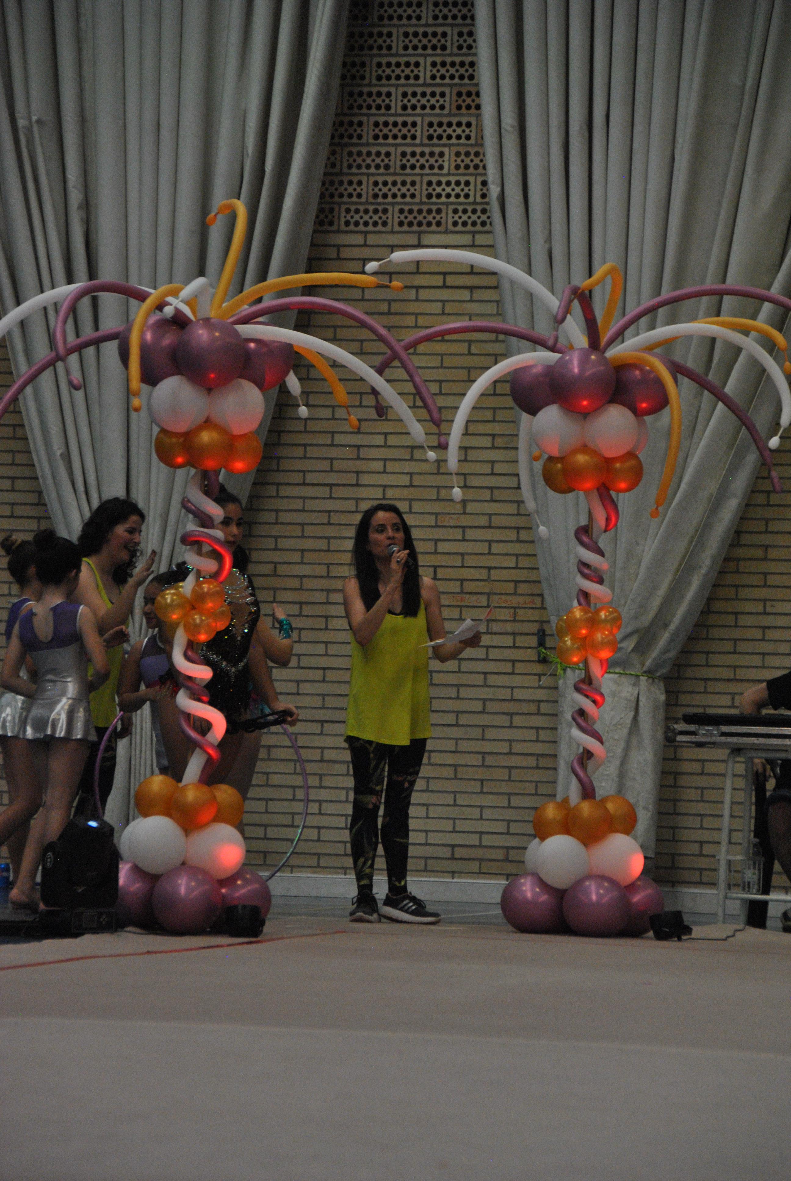 Exhibicion club ritmica Alfaro junio 18 791