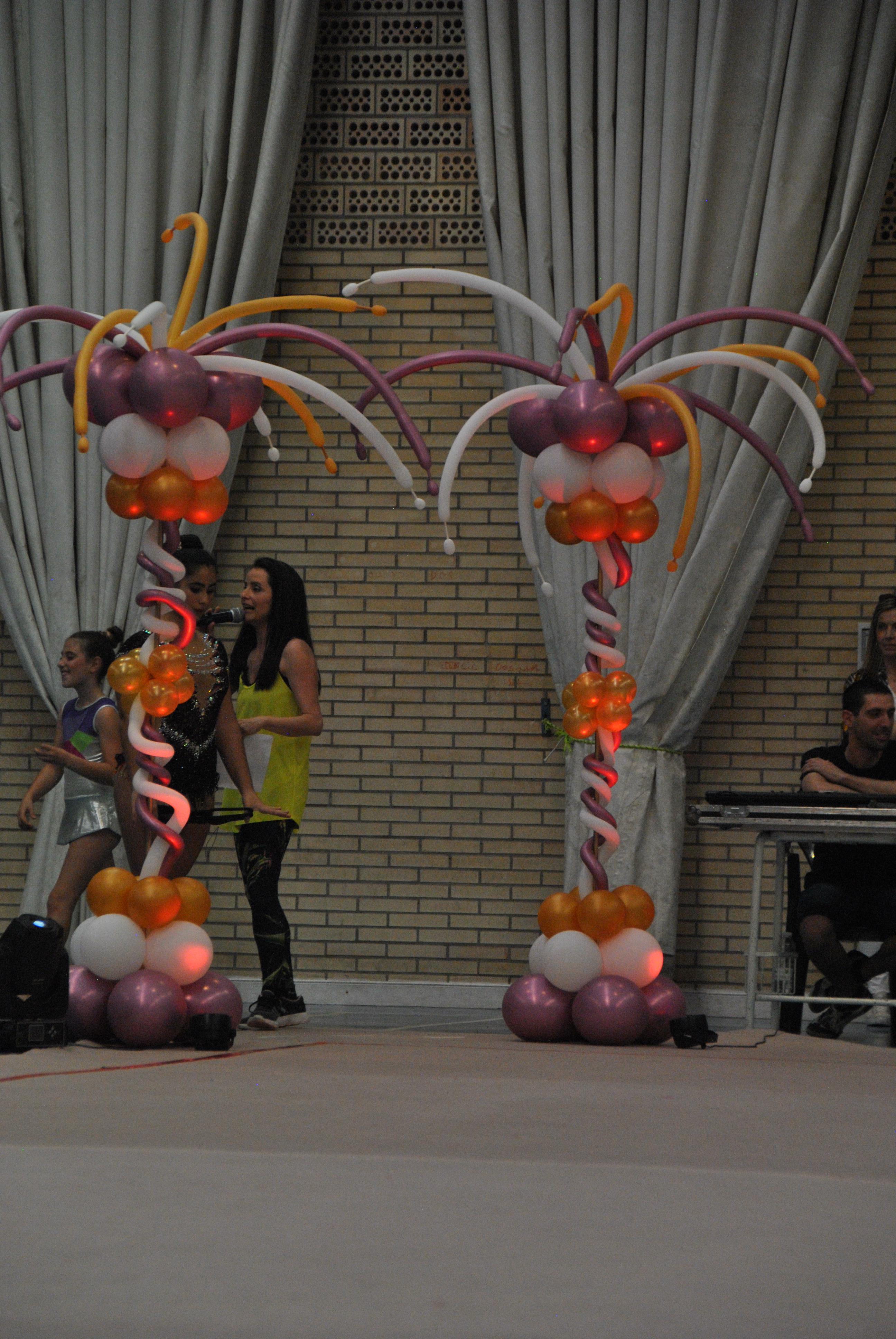 Exhibicion club ritmica Alfaro junio 18 793