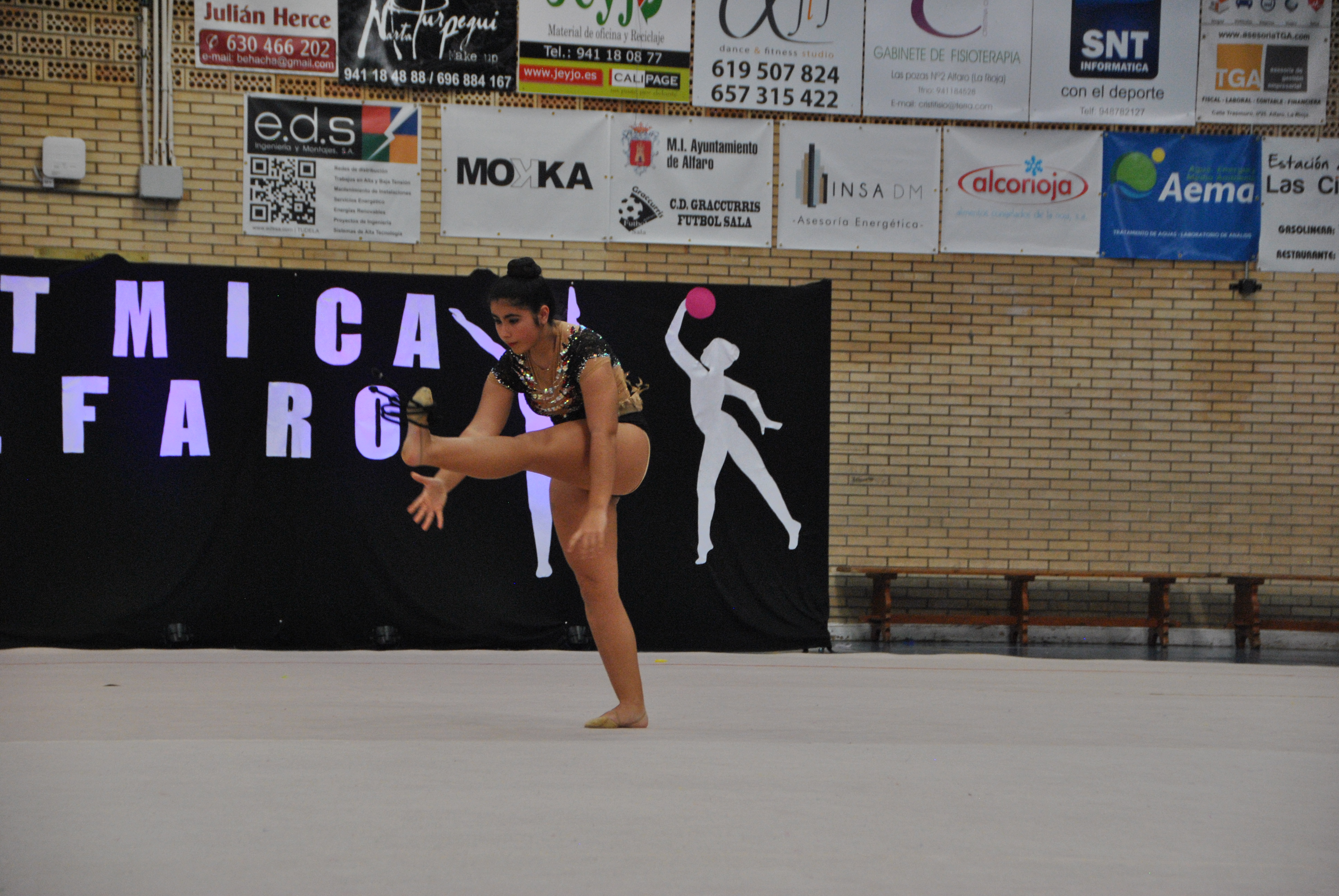 Exhibicion club ritmica Alfaro junio 18 802