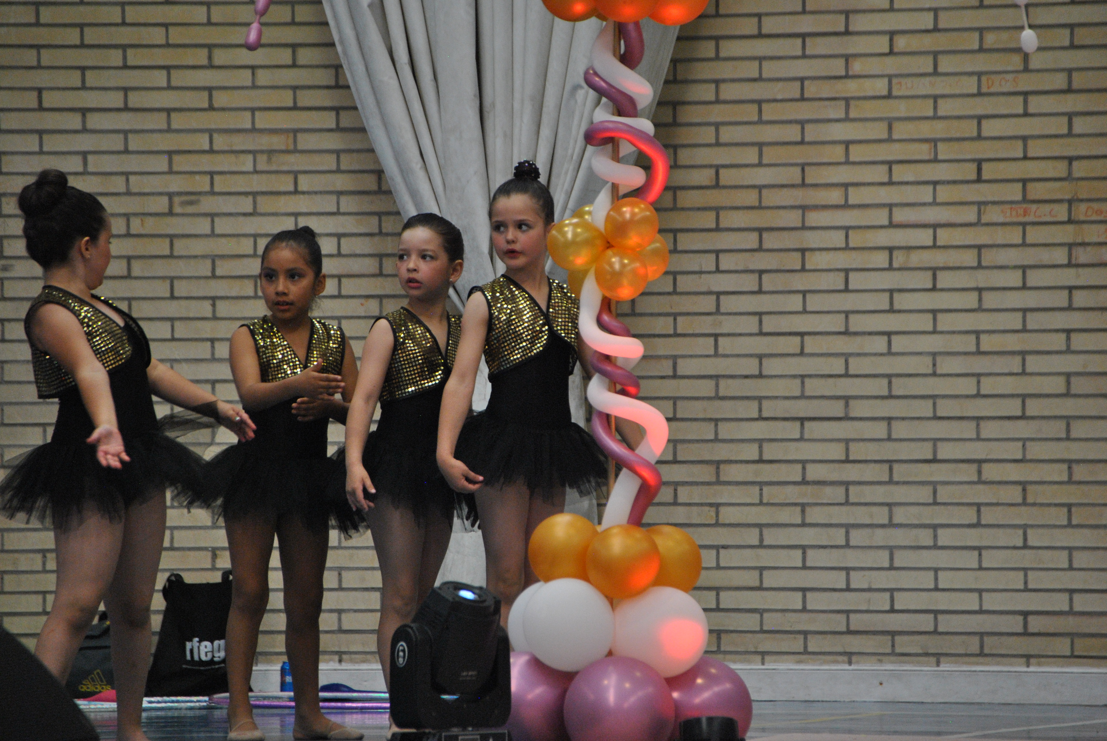 Exhibicion club ritmica Alfaro junio 18 805