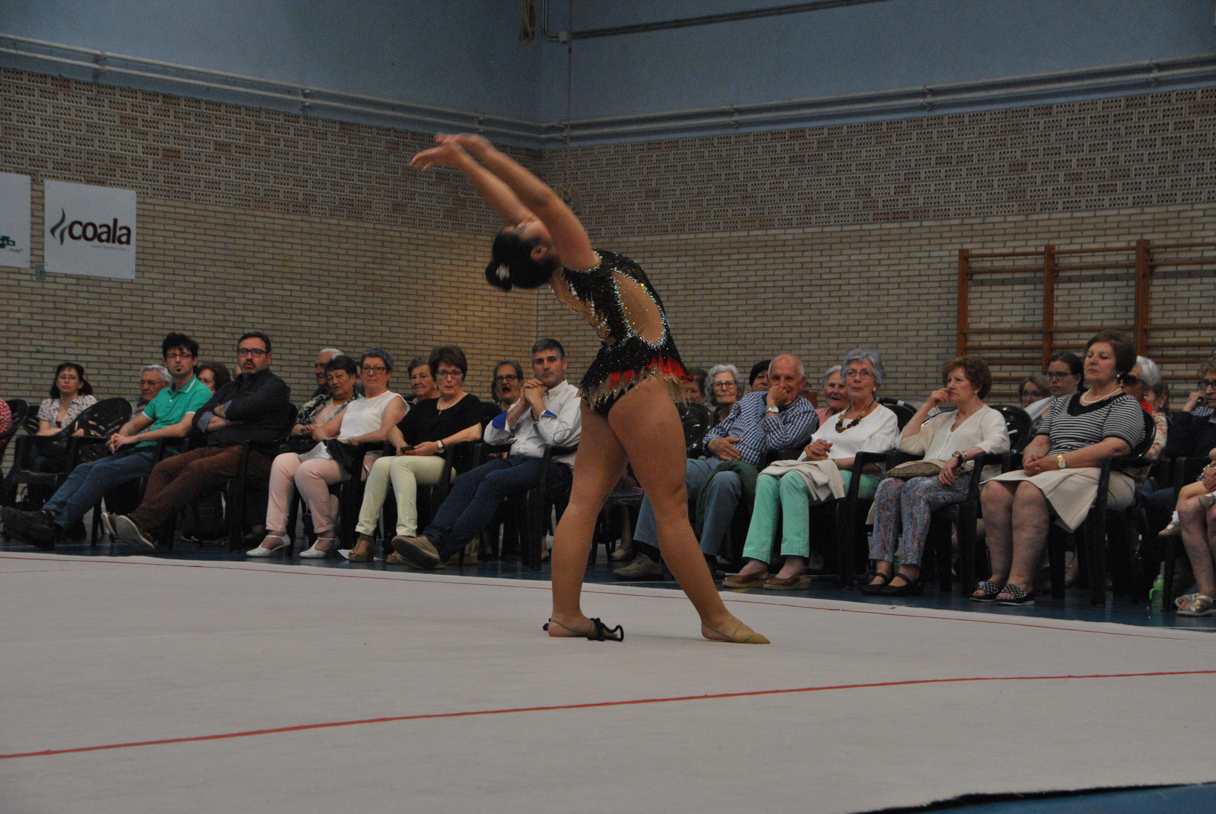 Exhibicion club ritmica Alfaro junio 18 809