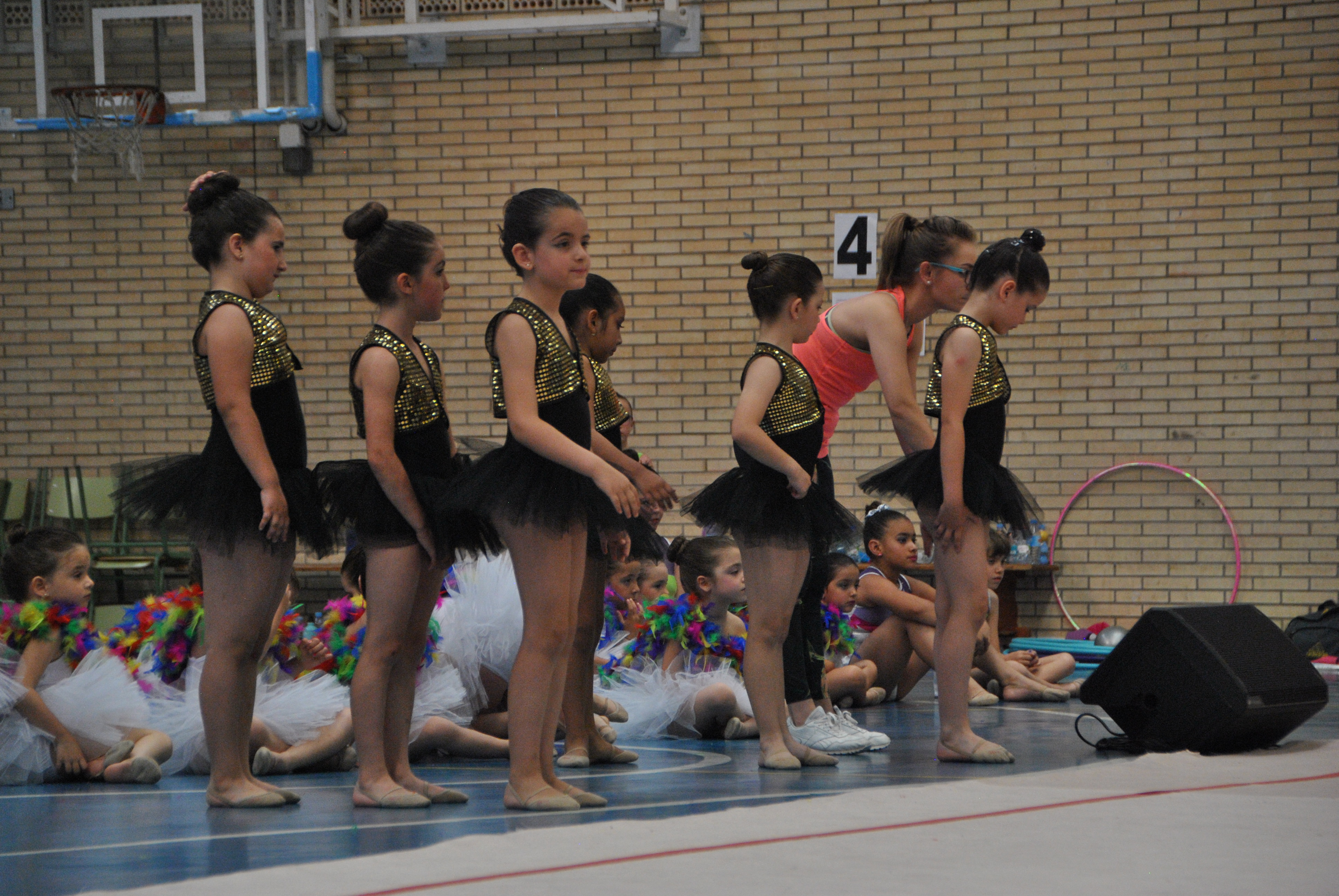 Exhibicion club ritmica Alfaro junio 18 818