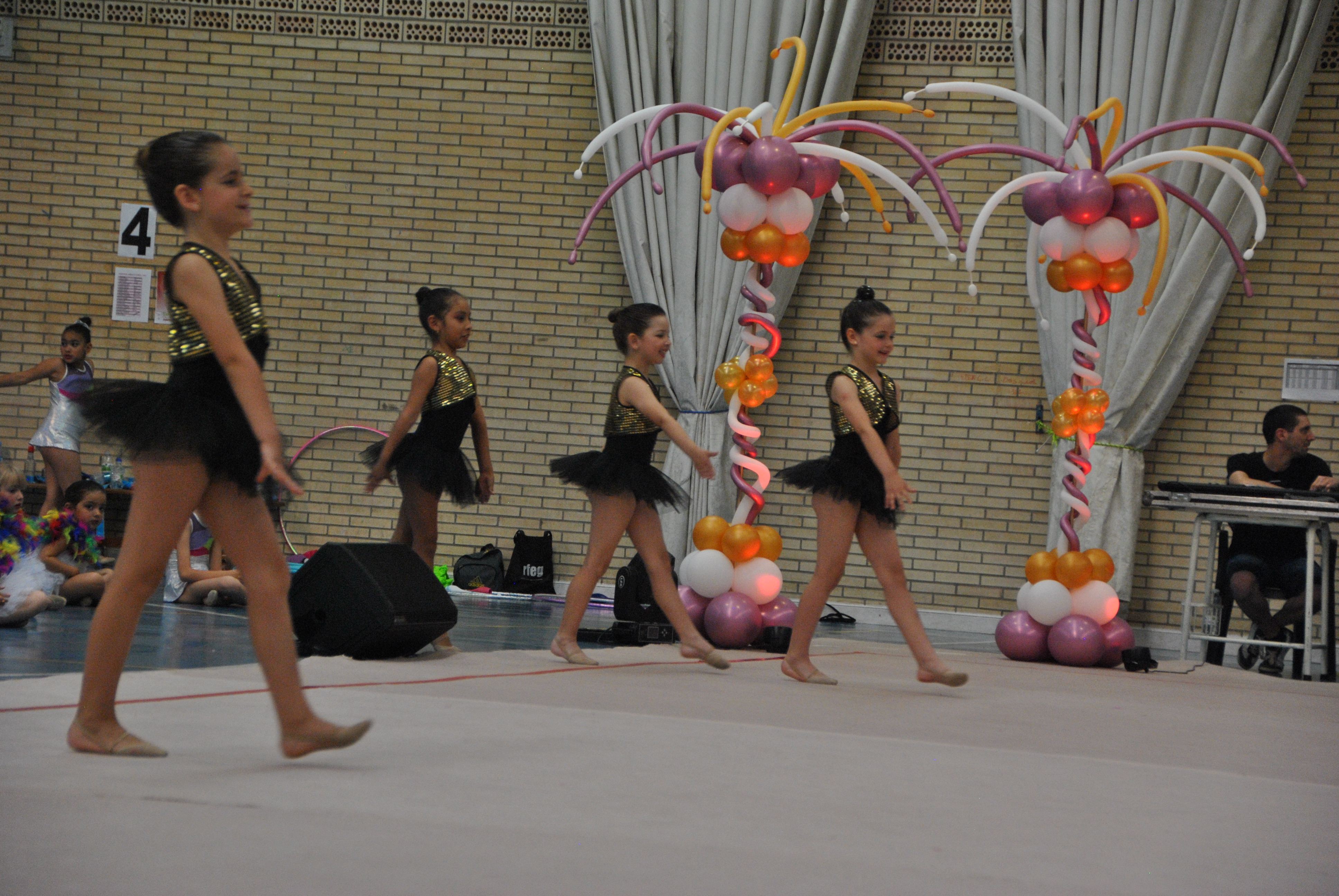 Exhibicion club ritmica Alfaro junio 18 829