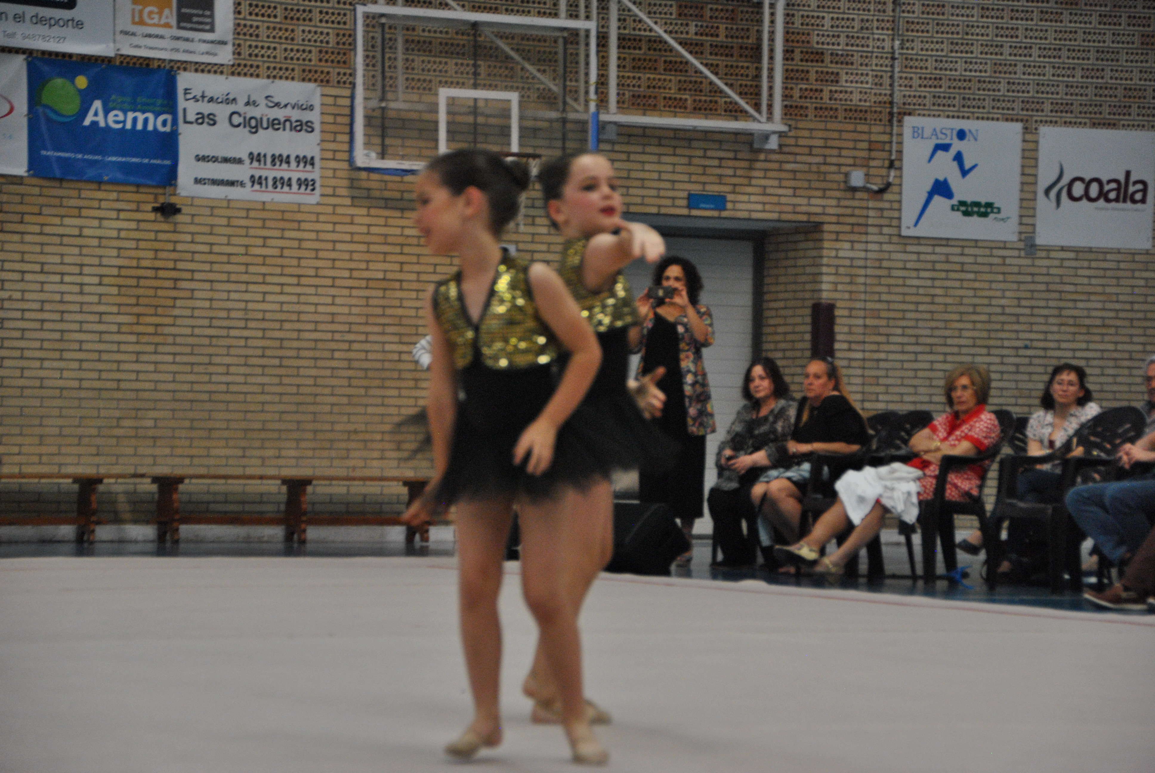 Exhibicion club ritmica Alfaro junio 18 834