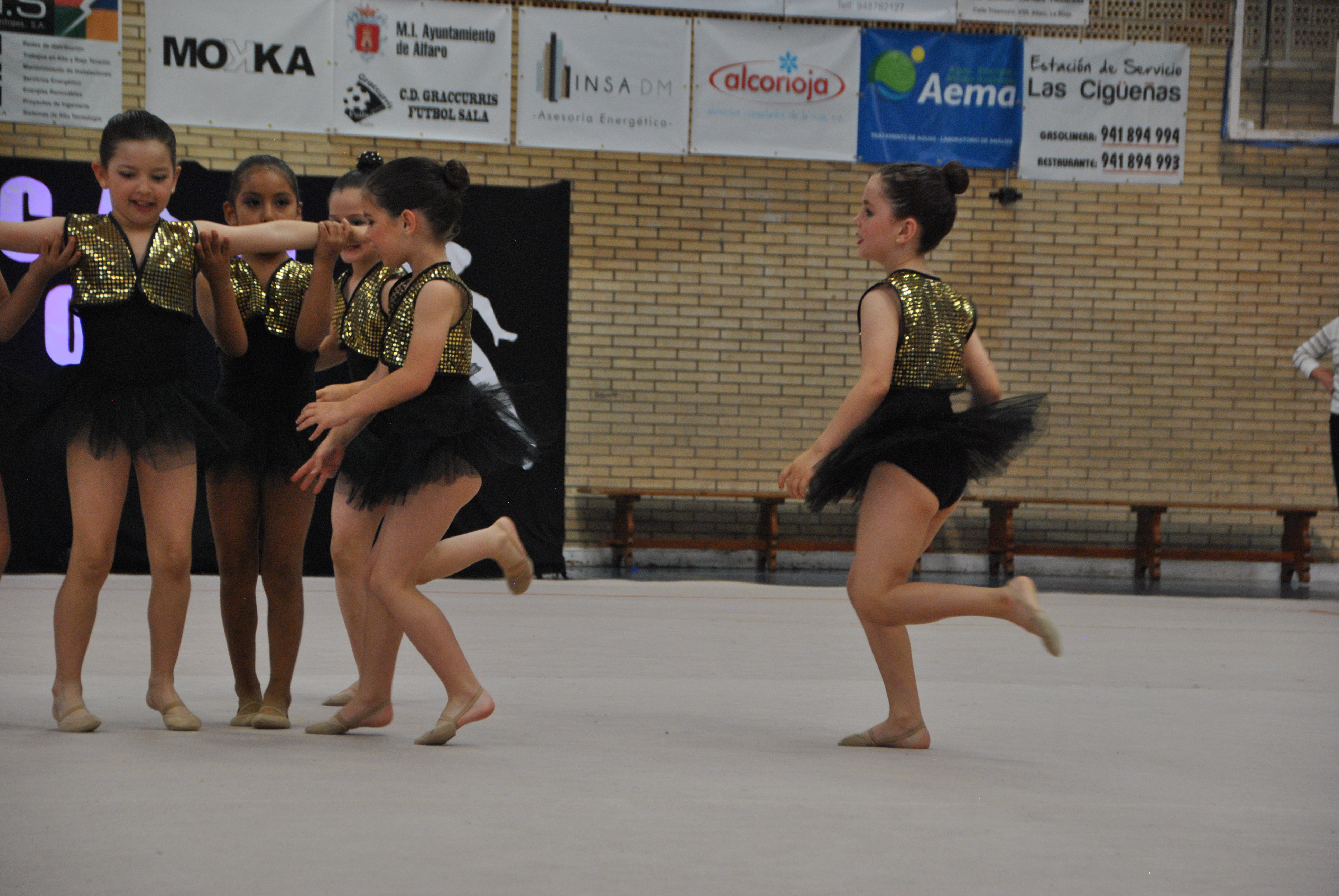 Exhibicion club ritmica Alfaro junio 18 835