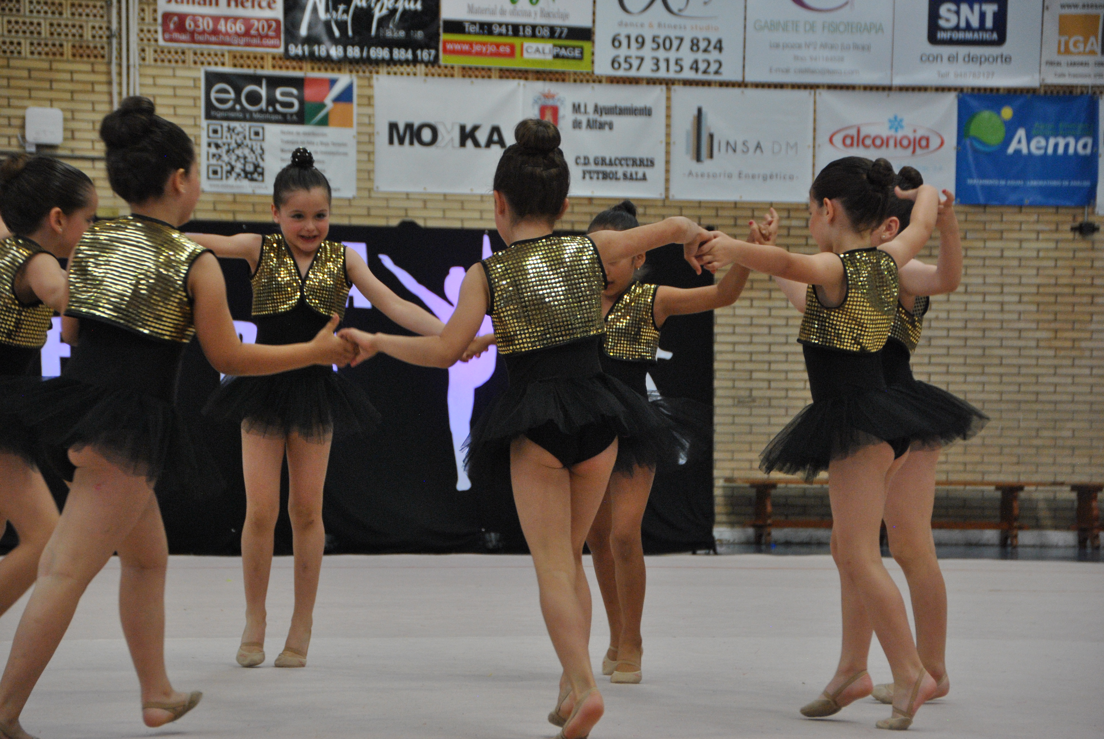 Exhibicion club ritmica Alfaro junio 18 839