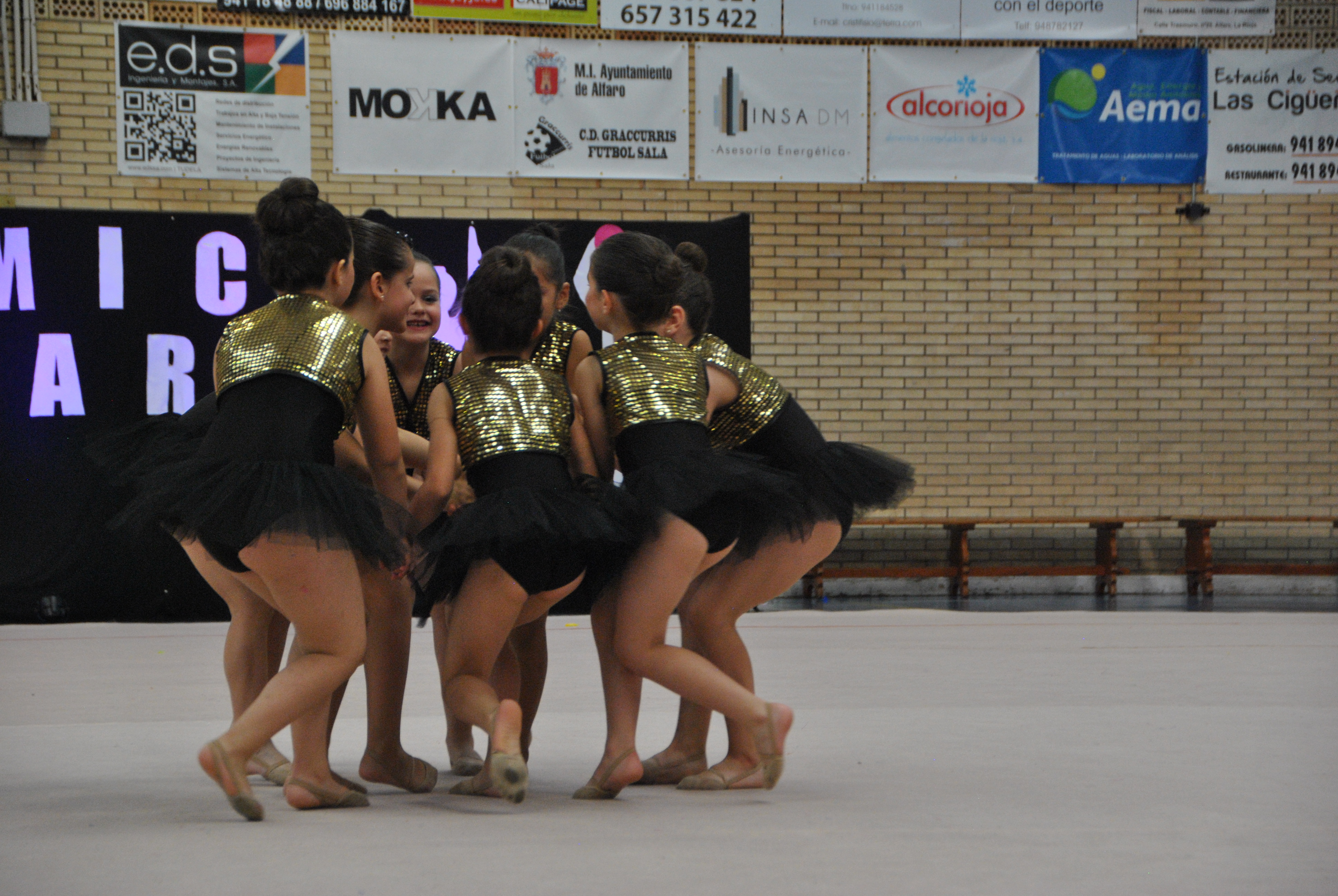 Exhibicion club ritmica Alfaro junio 18 840