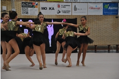 Exhibicion club ritmica Alfaro junio 18 841