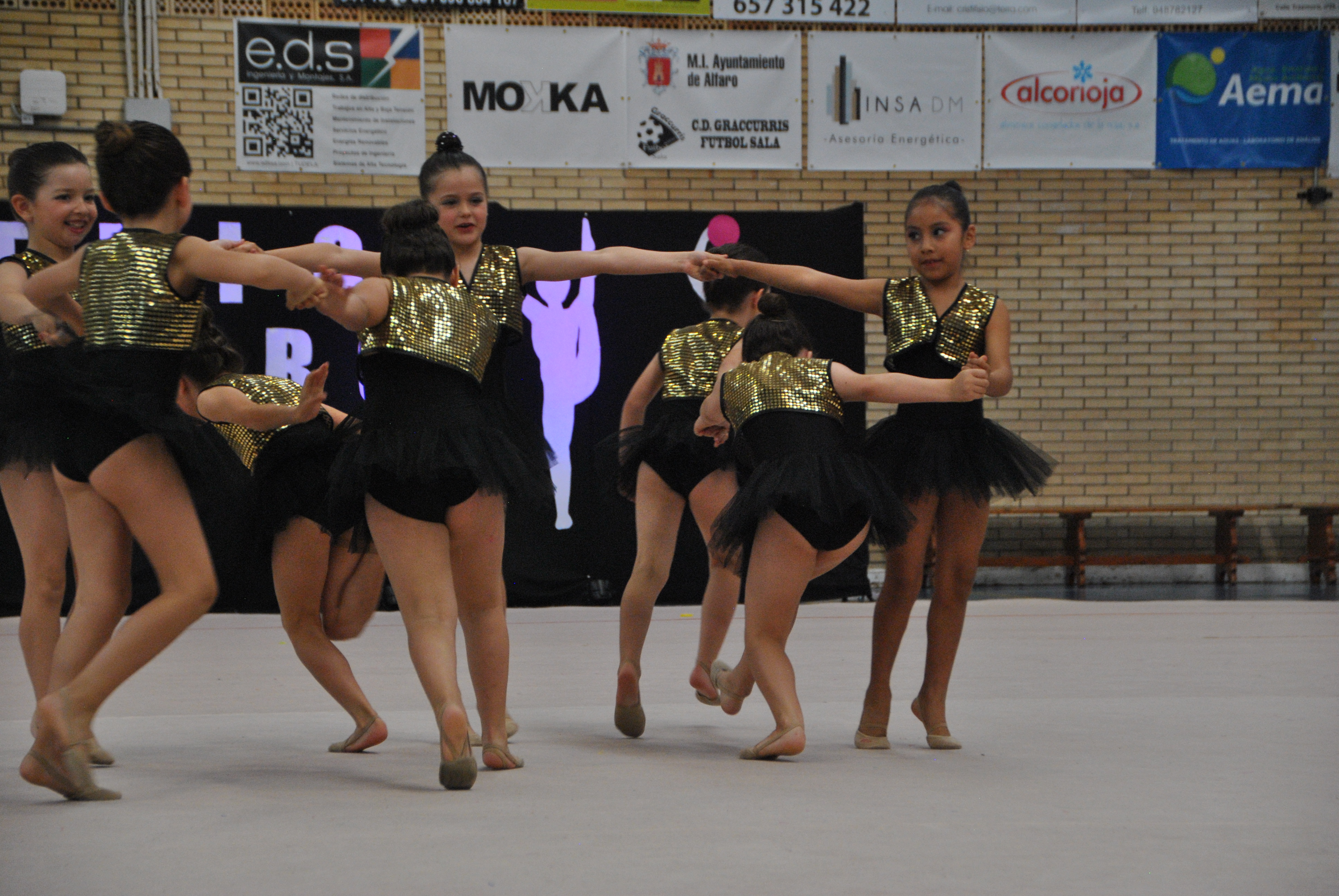 Exhibicion club ritmica Alfaro junio 18 841