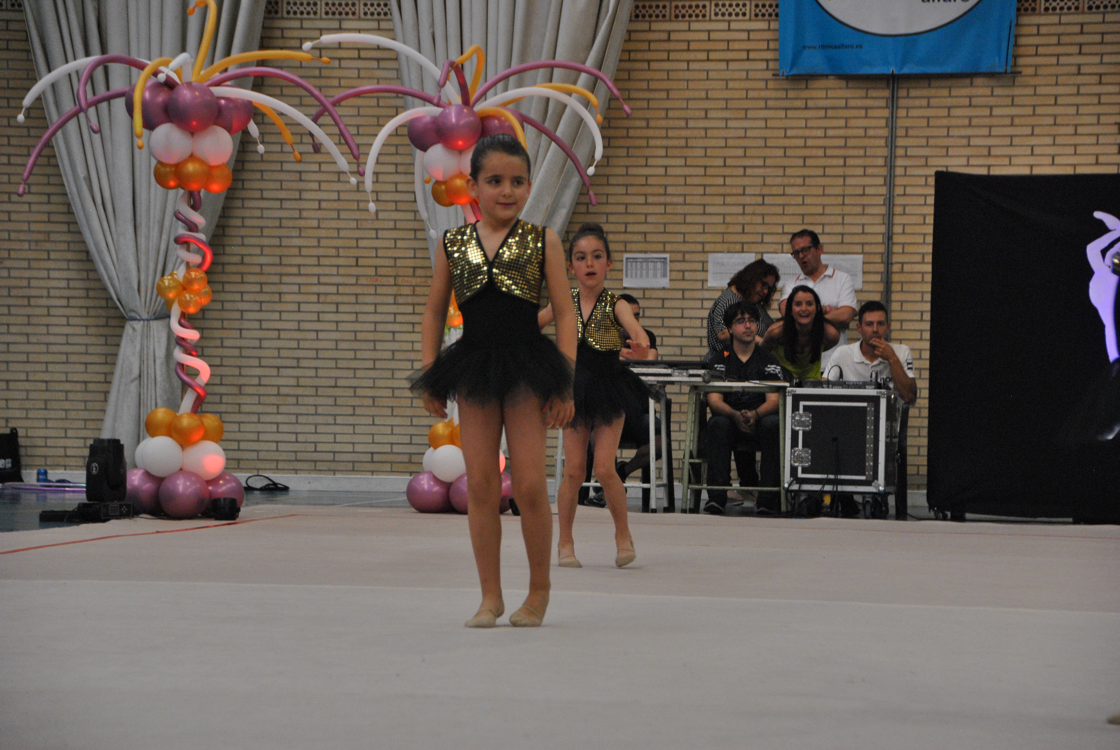 Exhibicion club ritmica Alfaro junio 18 849