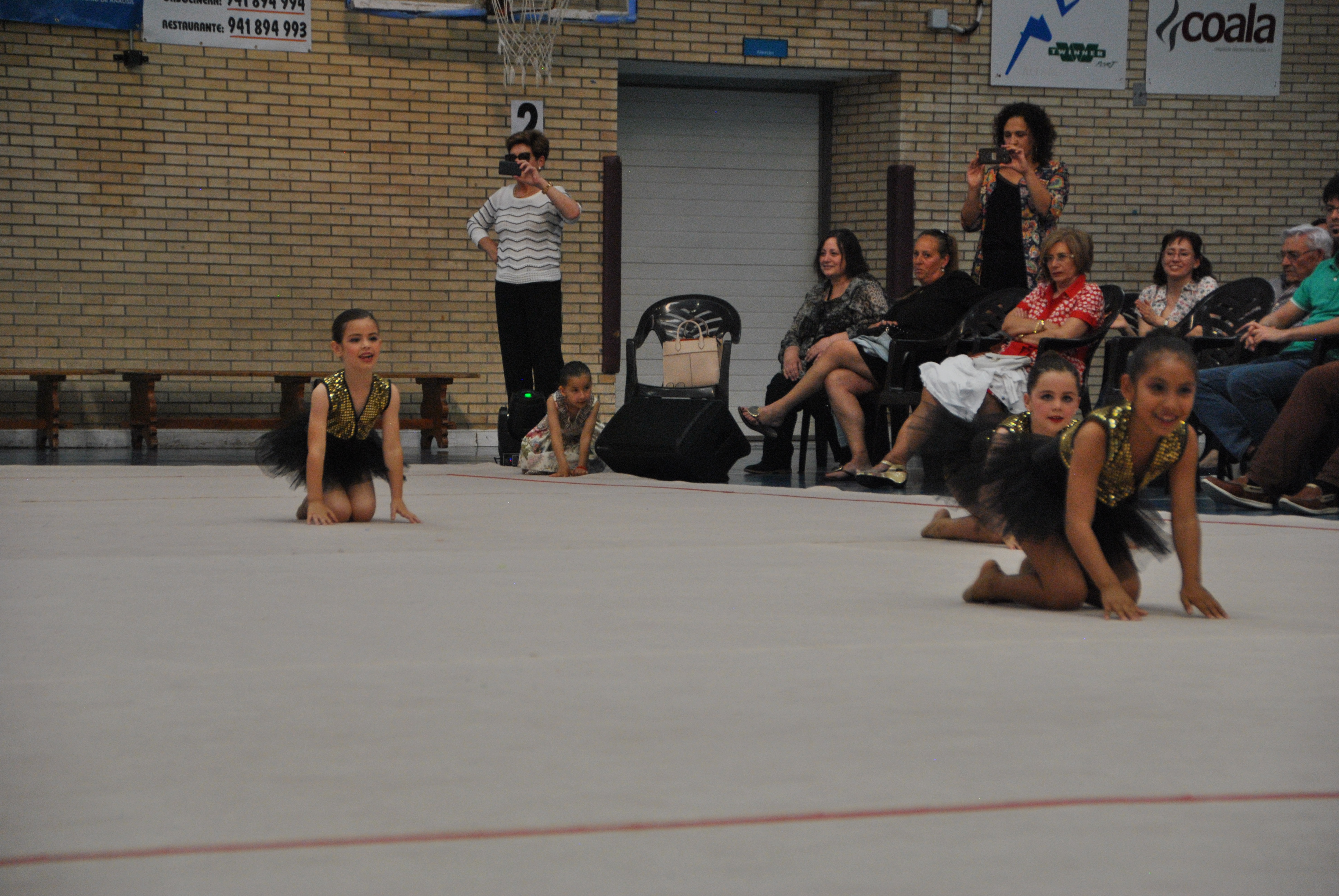 Exhibicion club ritmica Alfaro junio 18 853