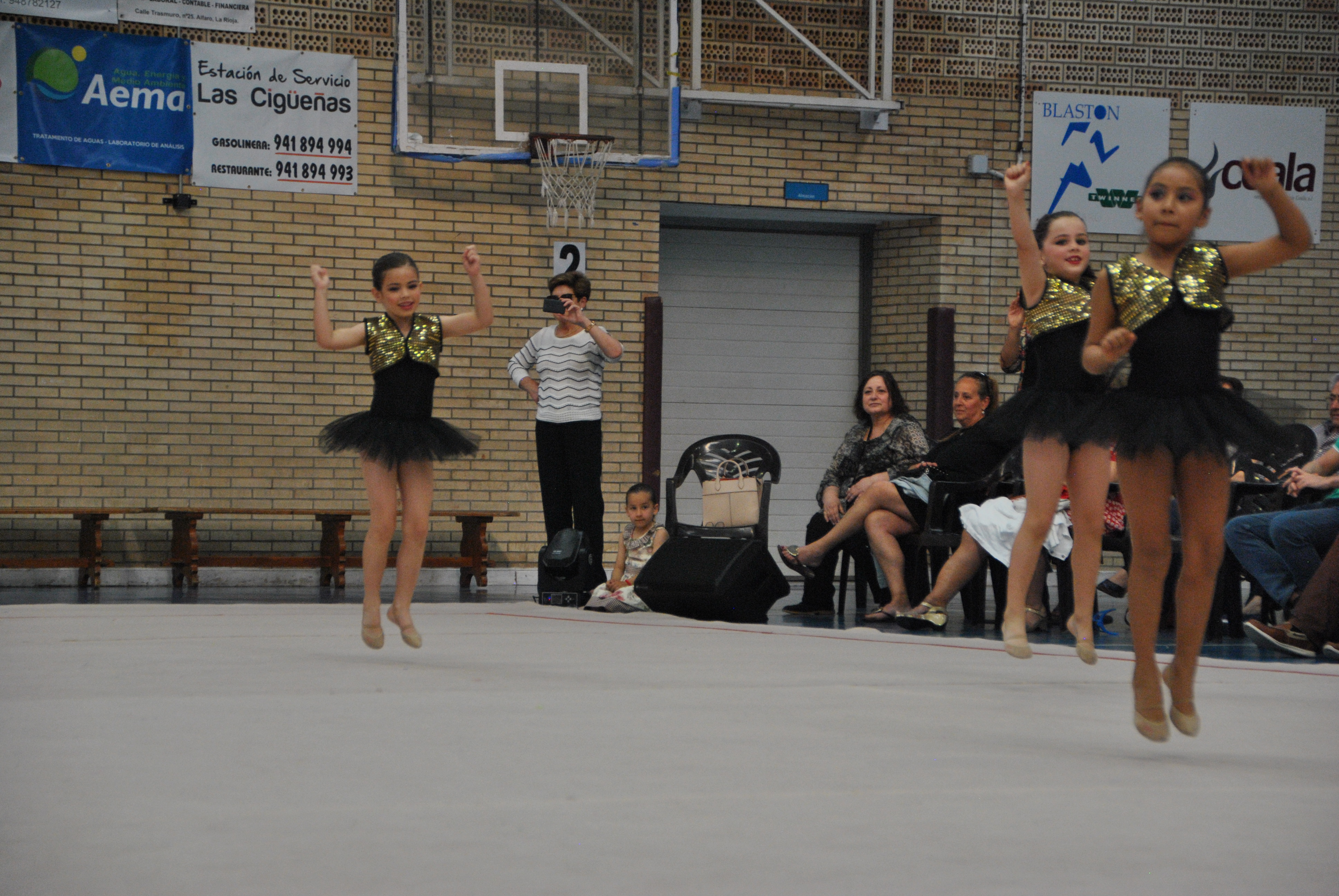 Exhibicion club ritmica Alfaro junio 18 854