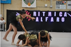 Exhibicion club ritmica Alfaro junio 18 856