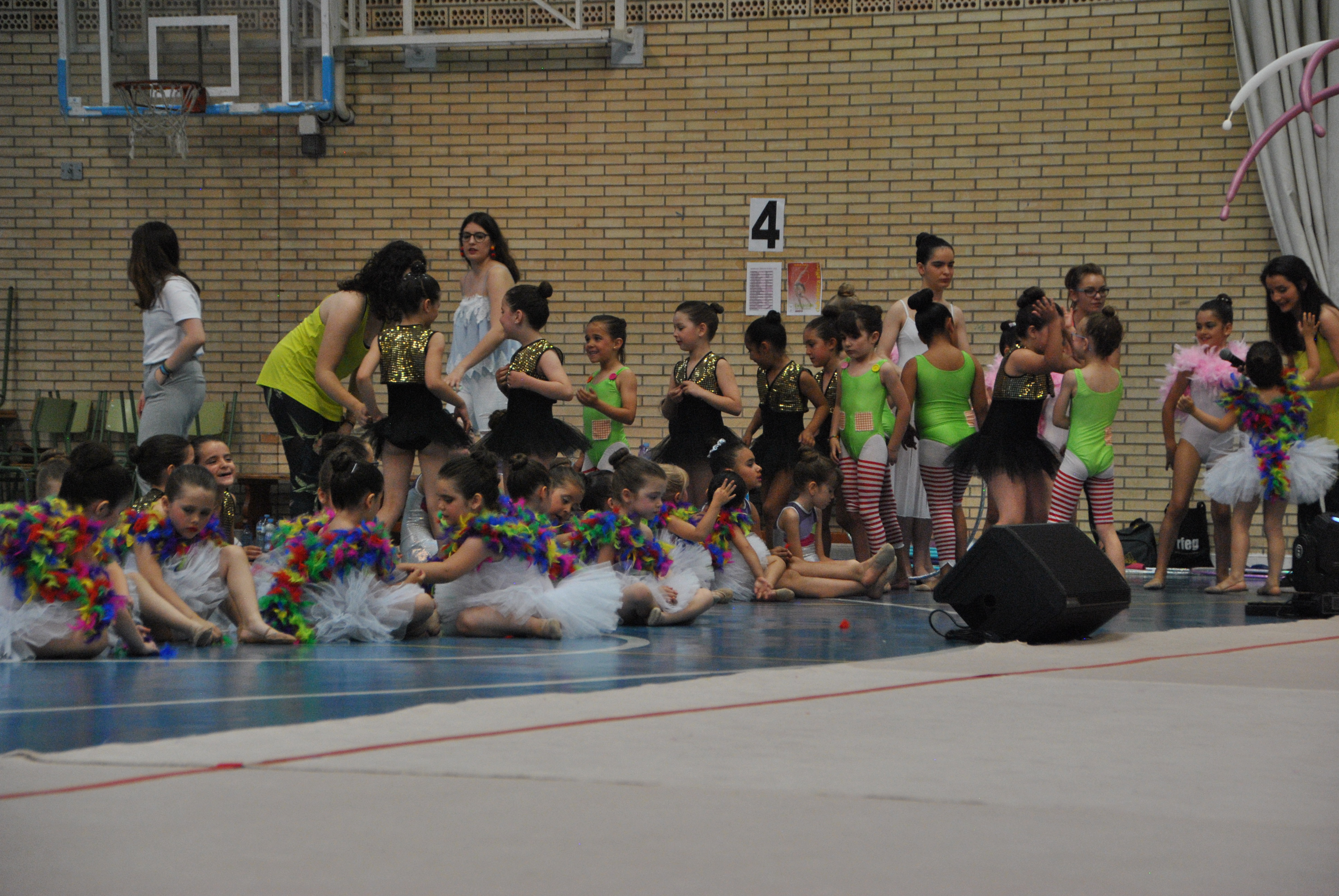 Exhibicion club ritmica Alfaro junio 18 871