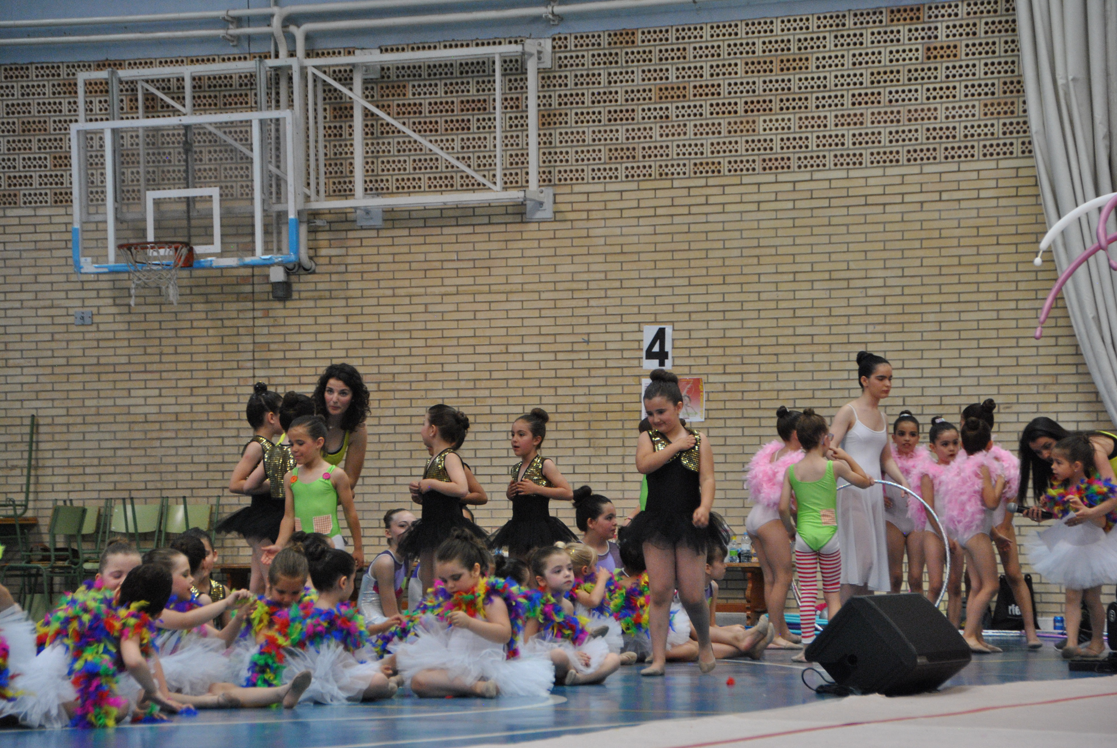 Exhibicion club ritmica Alfaro junio 18 873