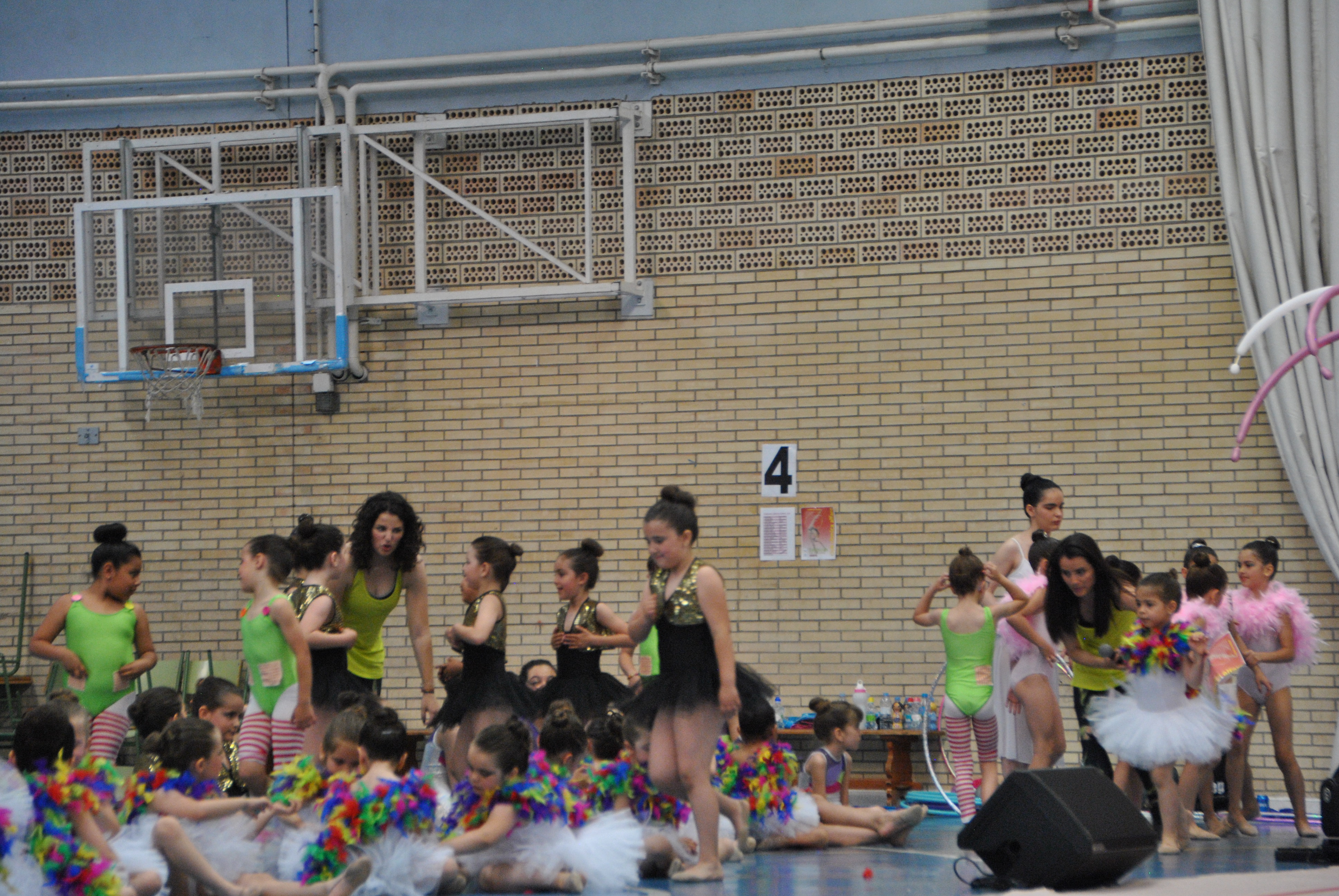 Exhibicion club ritmica Alfaro junio 18 874