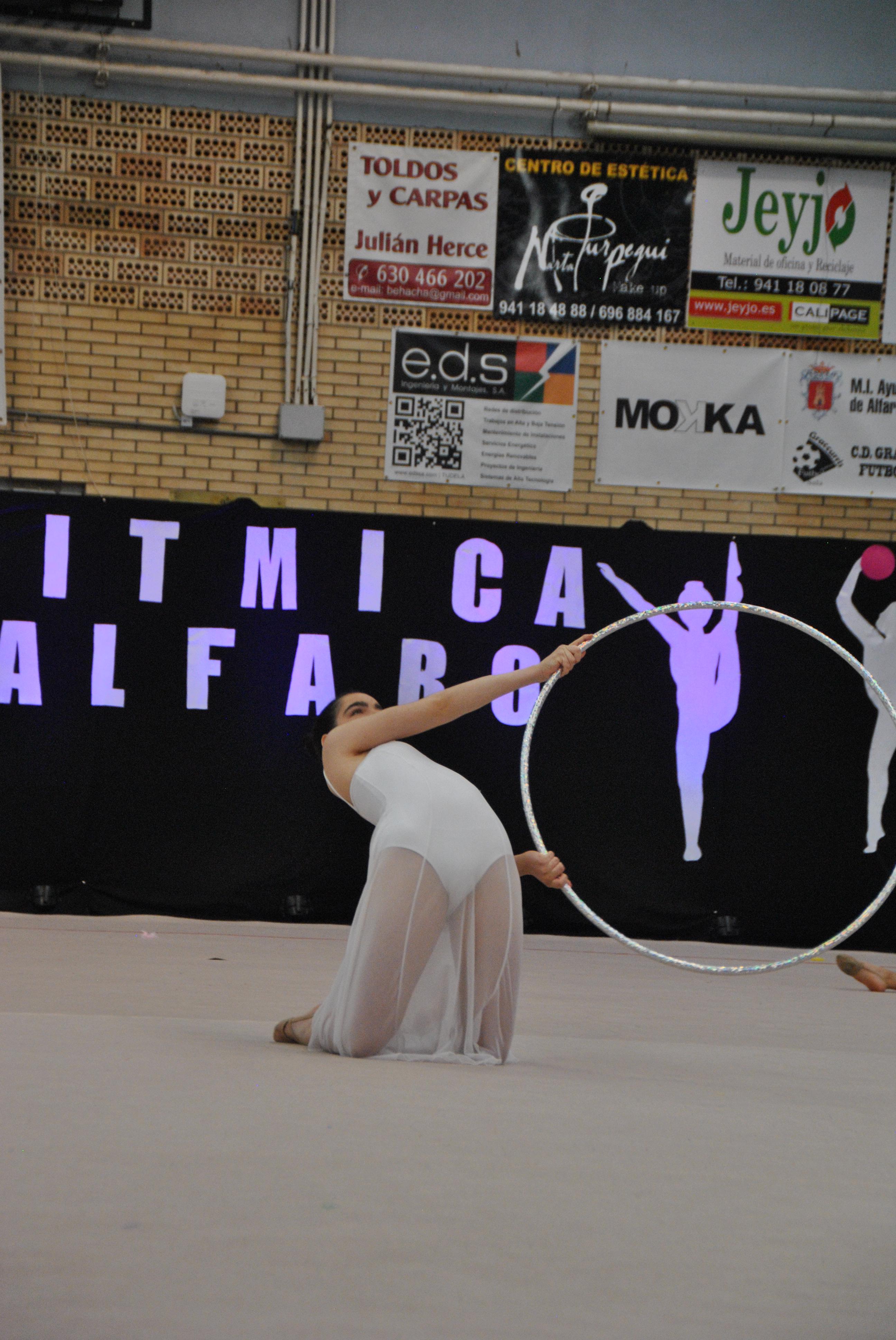 Exhibicion club ritmica Alfaro junio 18 884