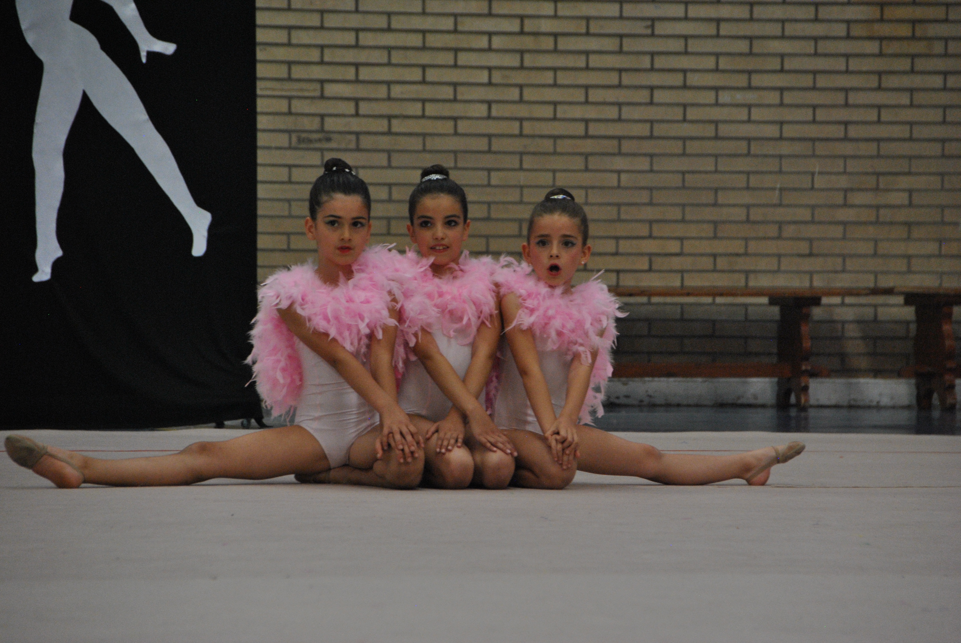 Exhibicion club ritmica Alfaro junio 18 890