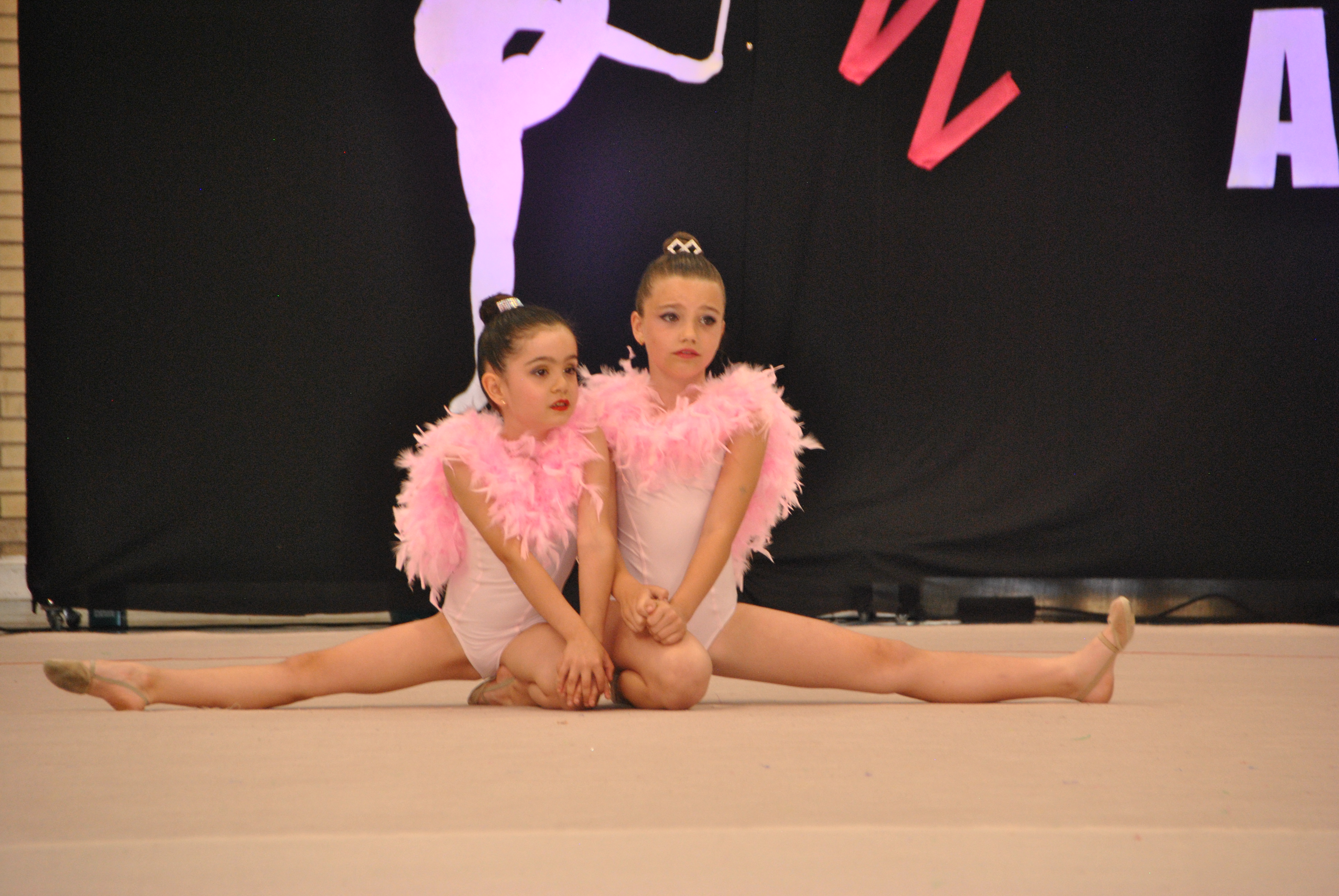 Exhibicion club ritmica Alfaro junio 18 891