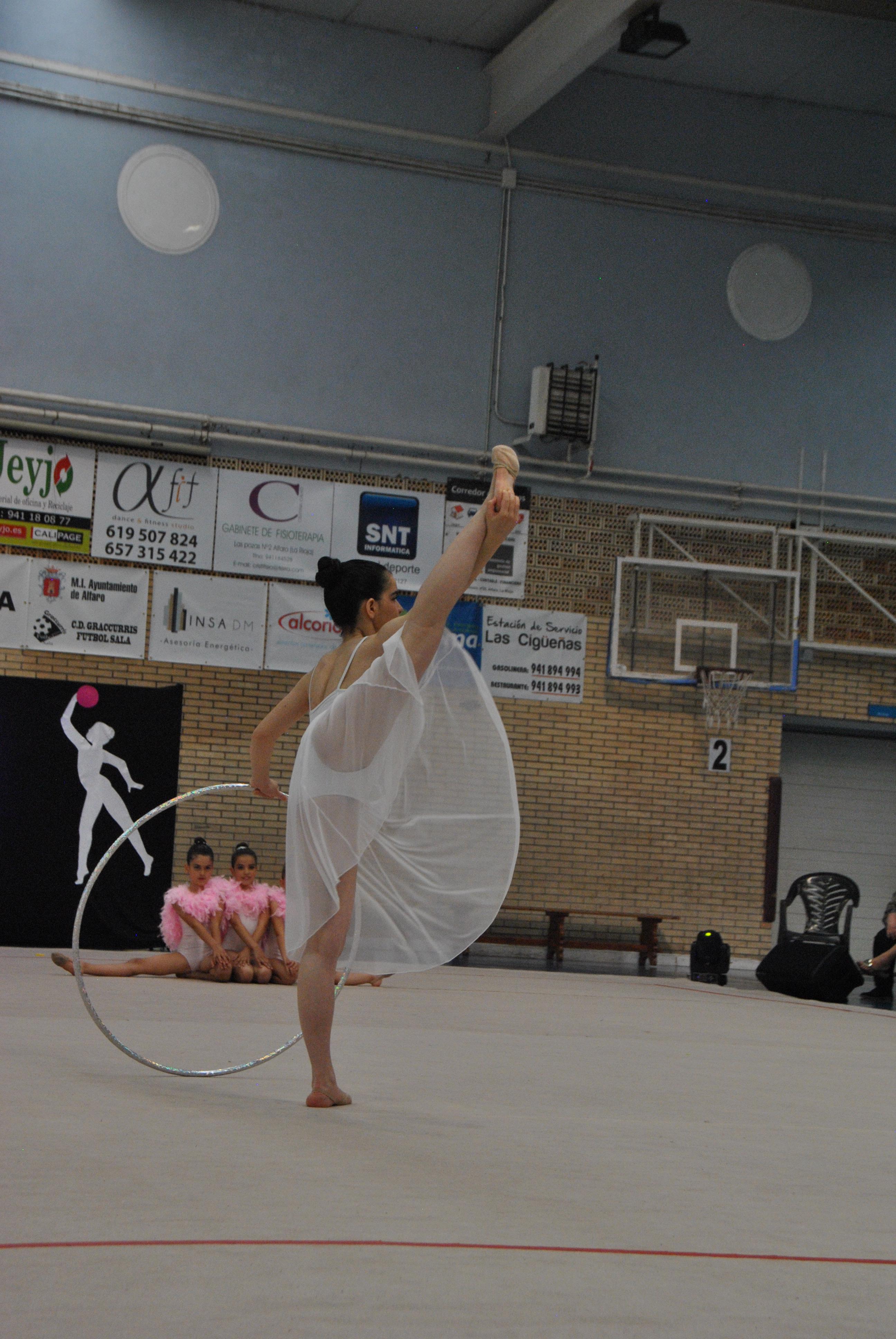 Exhibicion club ritmica Alfaro junio 18 893