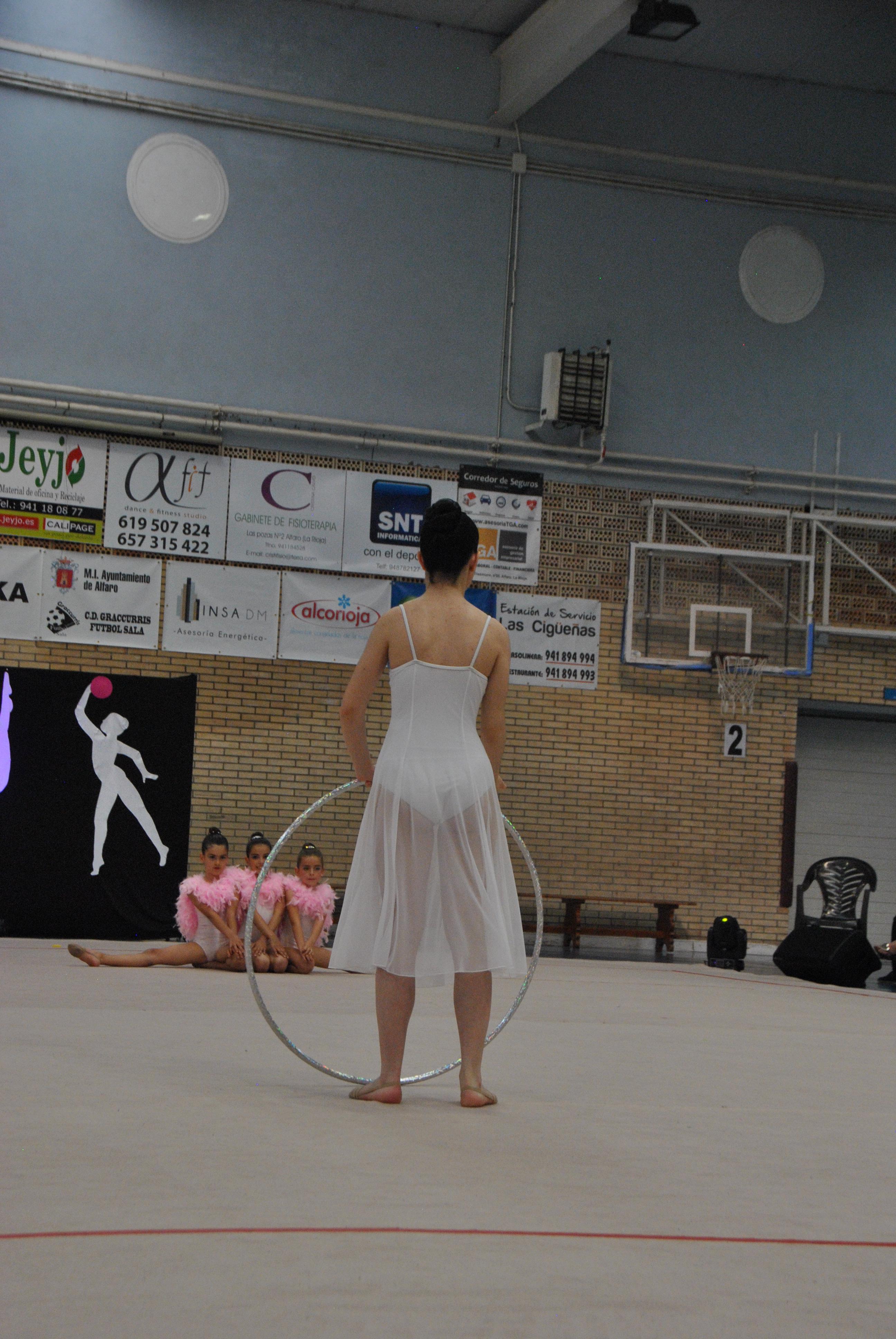 Exhibicion club ritmica Alfaro junio 18 894