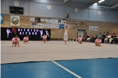 Exhibicion club ritmica Alfaro junio 18 899