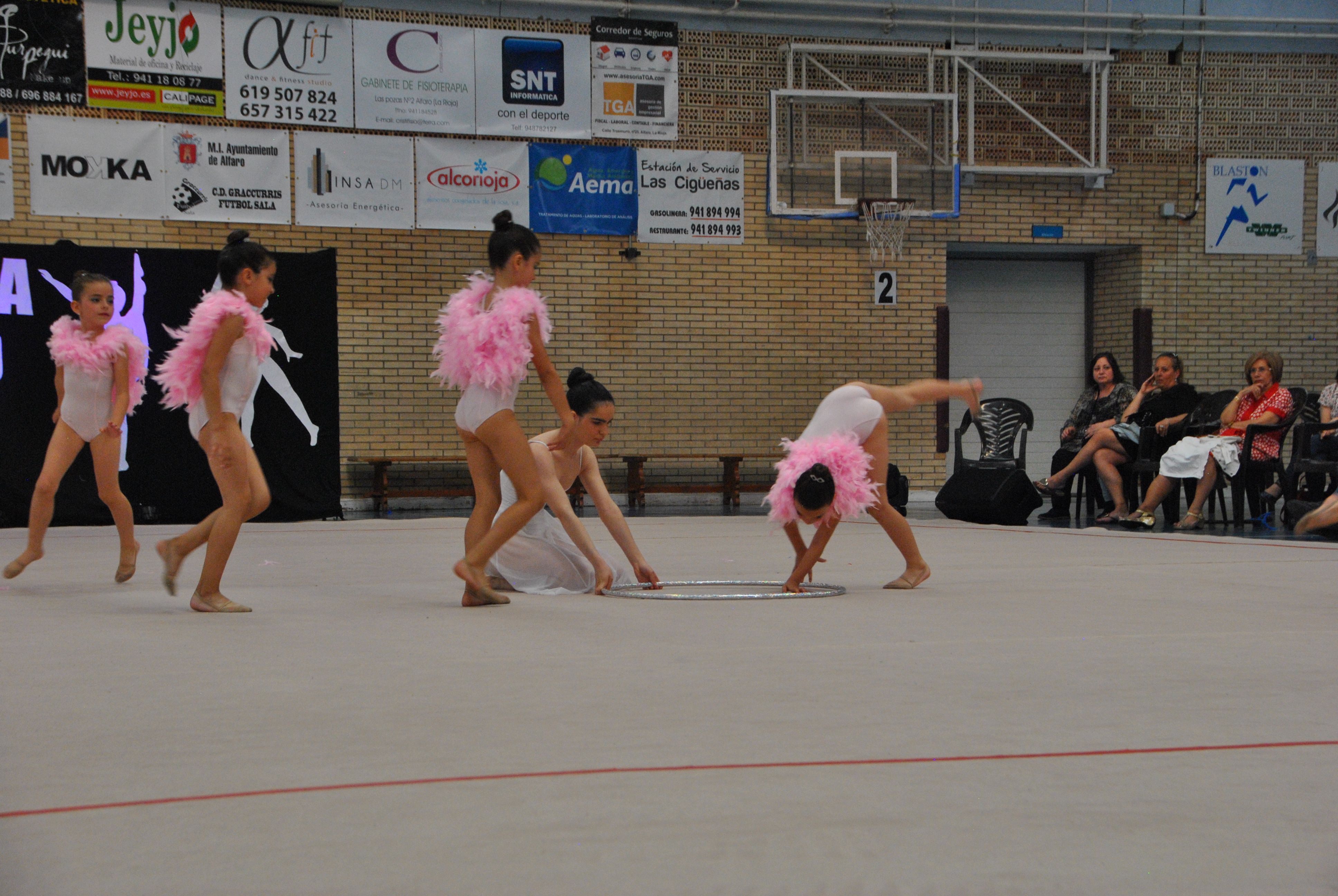 Exhibicion club ritmica Alfaro junio 18 904