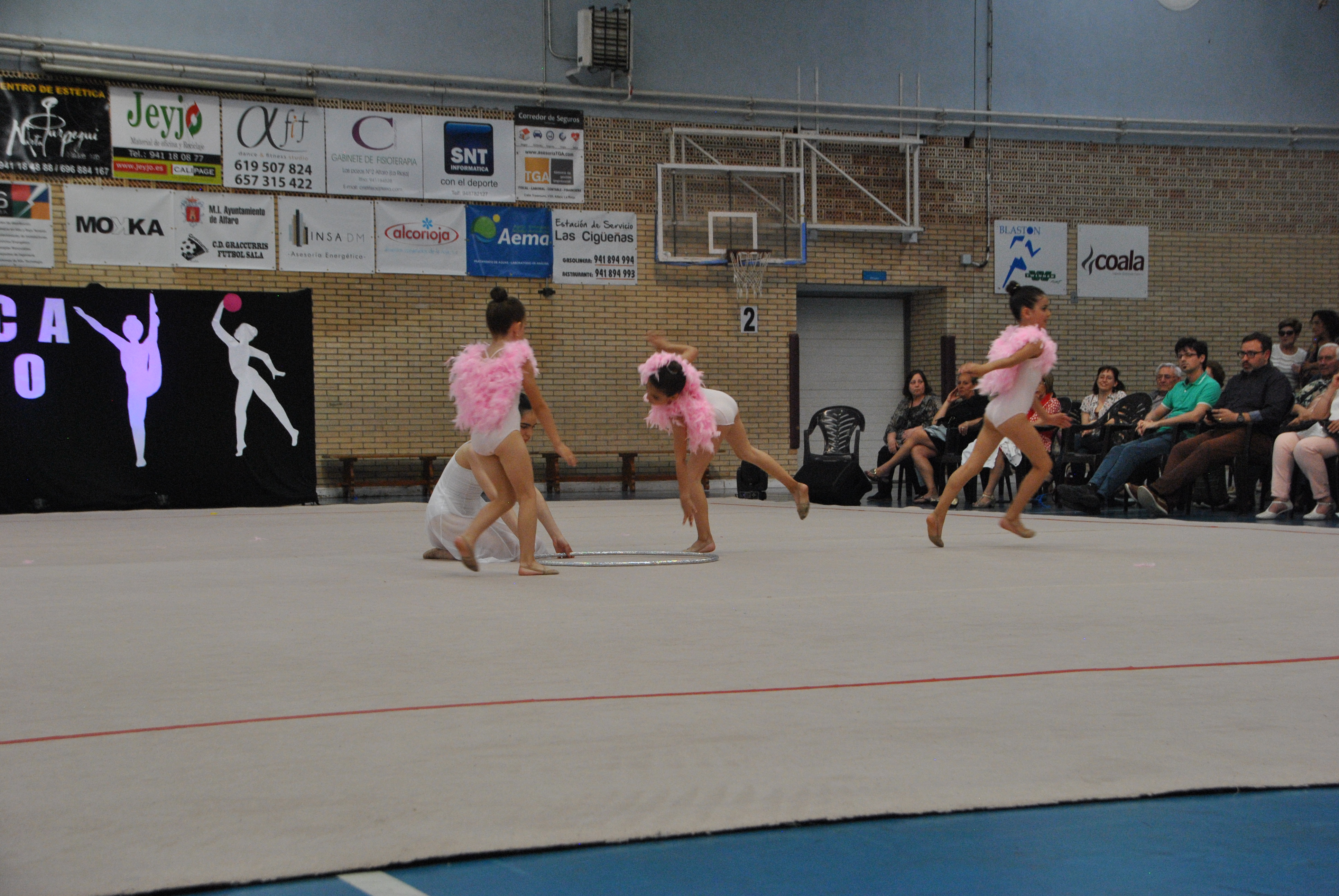 Exhibicion club ritmica Alfaro junio 18 905