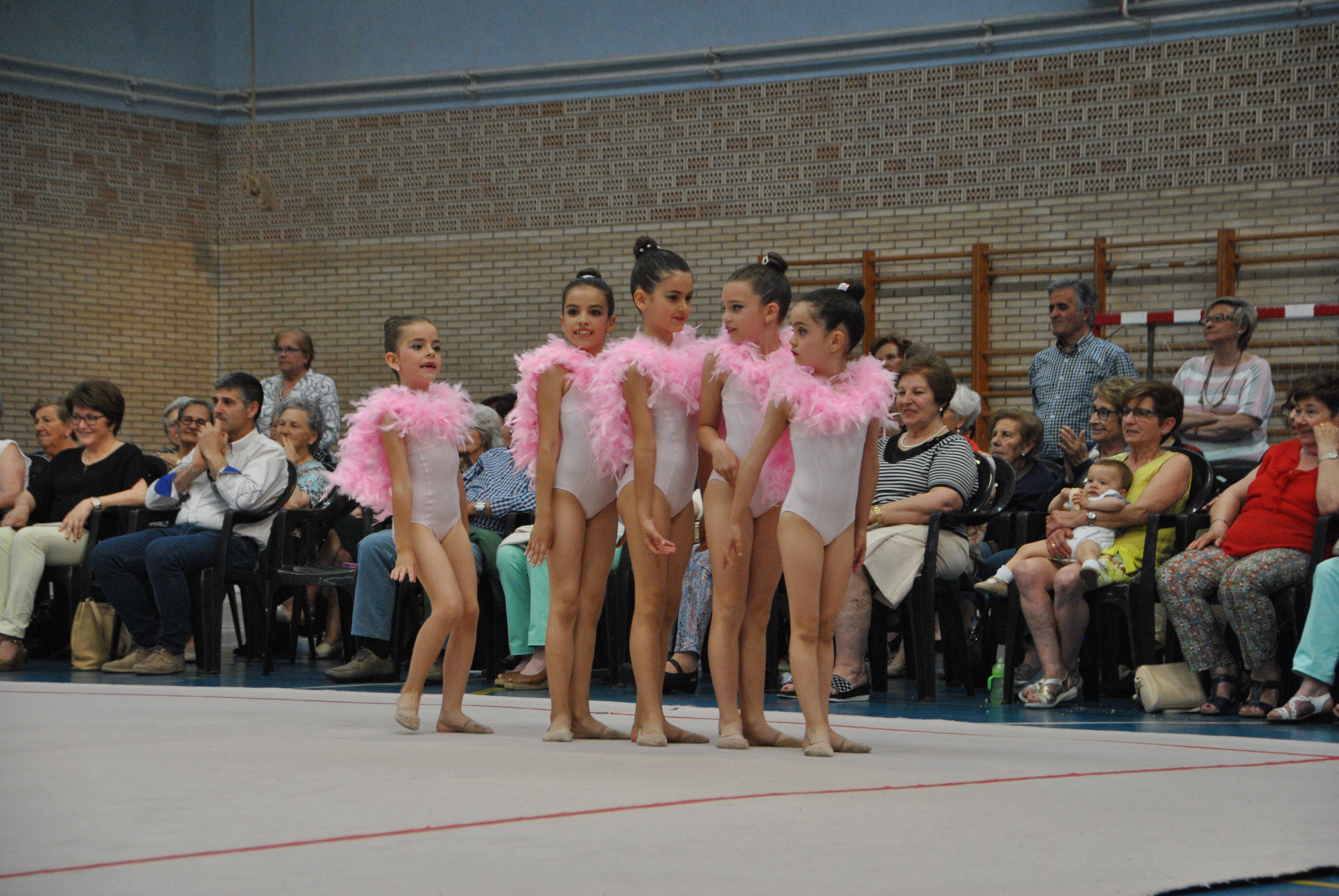 Exhibicion club ritmica Alfaro junio 18 906