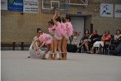 Exhibicion club ritmica Alfaro junio 18 910