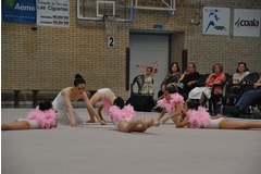 Exhibicion club ritmica Alfaro junio 18 911