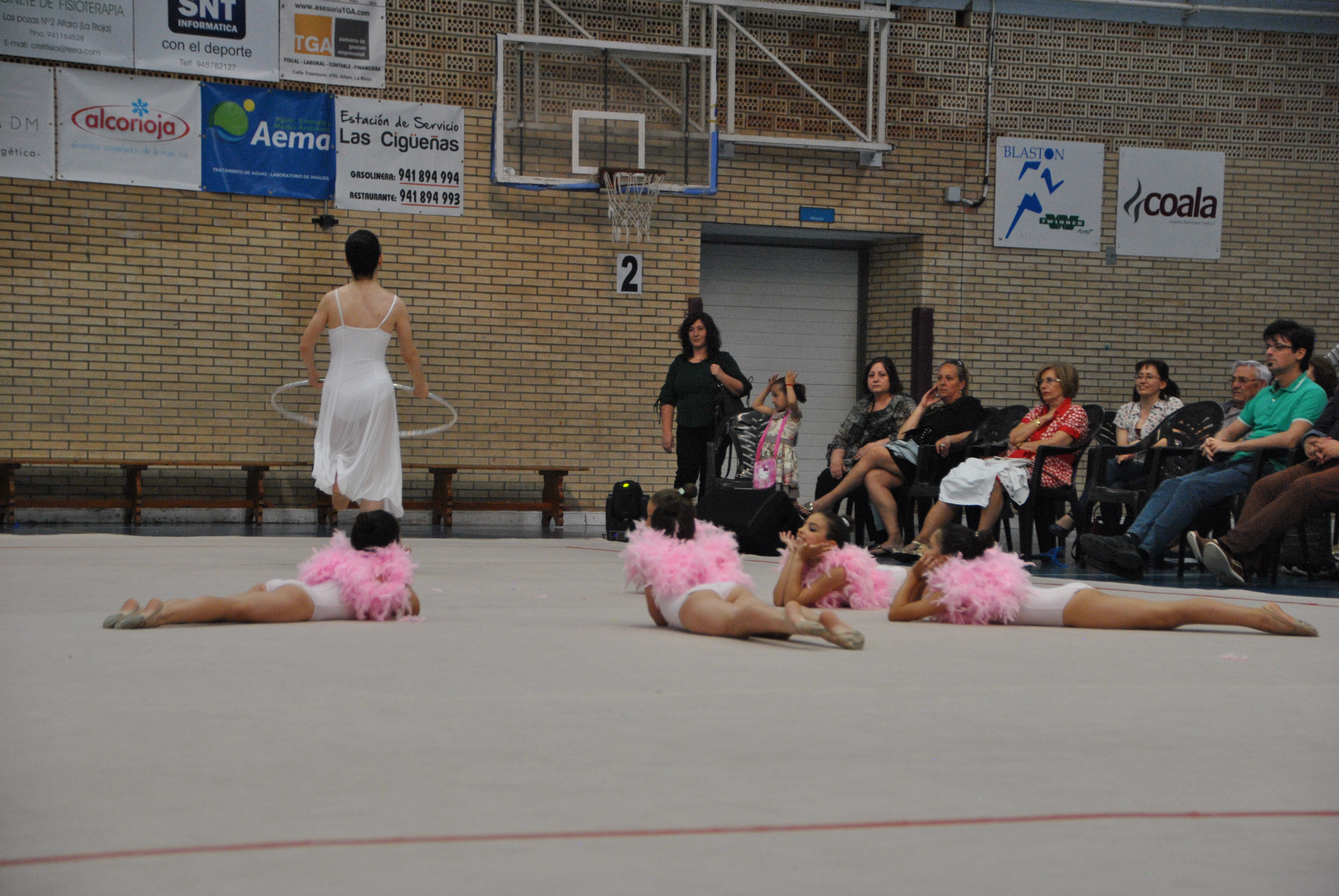 Exhibicion club ritmica Alfaro junio 18 915