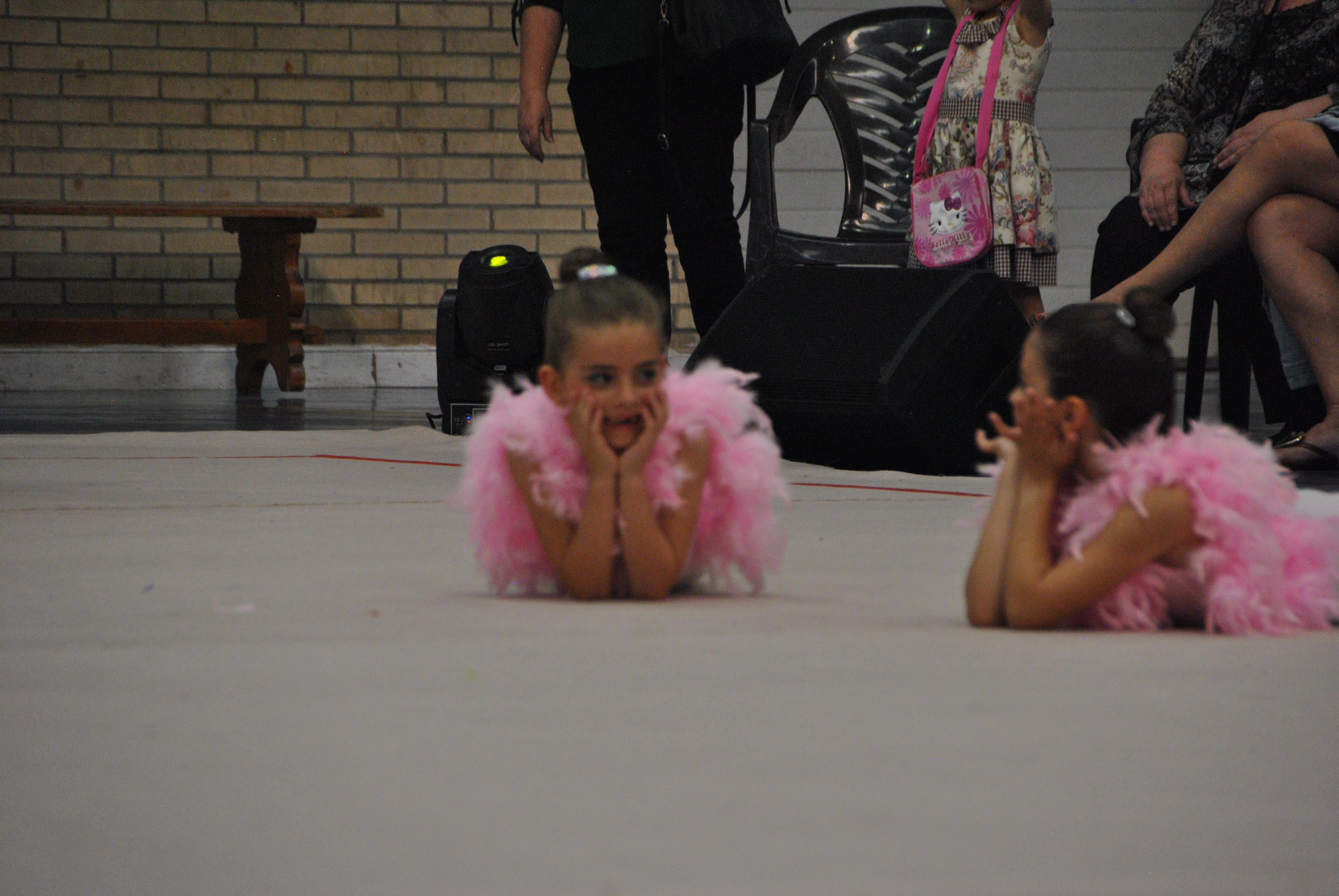 Exhibicion club ritmica Alfaro junio 18 917