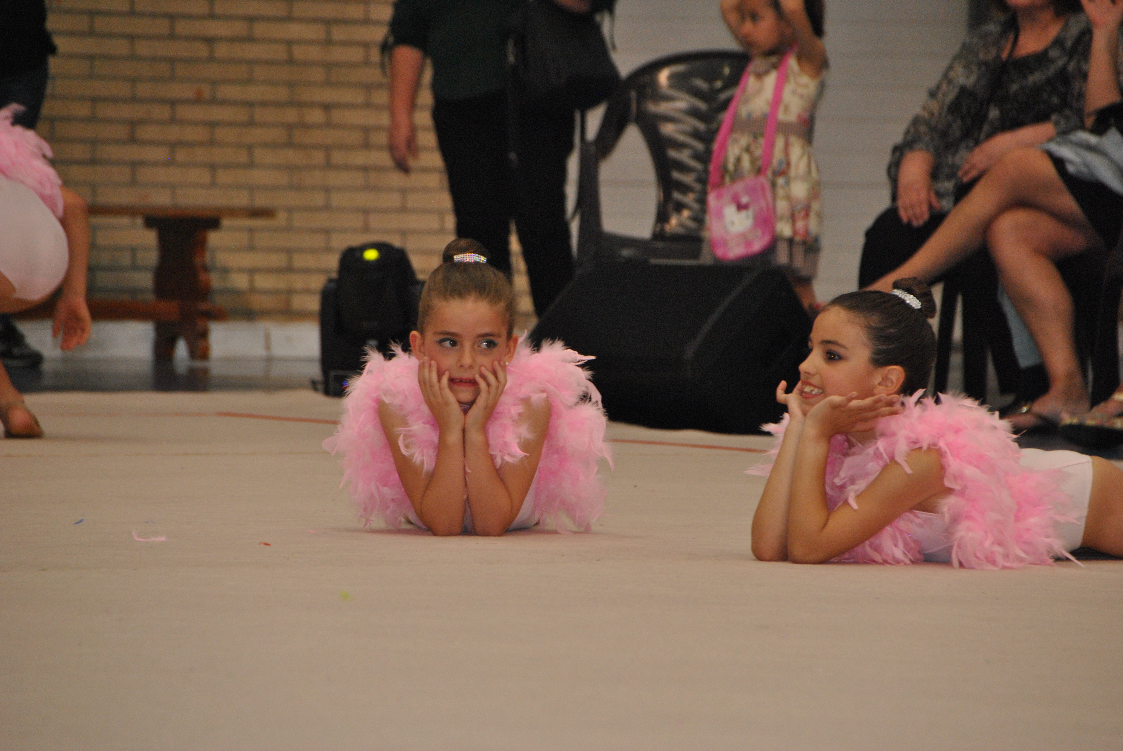 Exhibicion club ritmica Alfaro junio 18 918