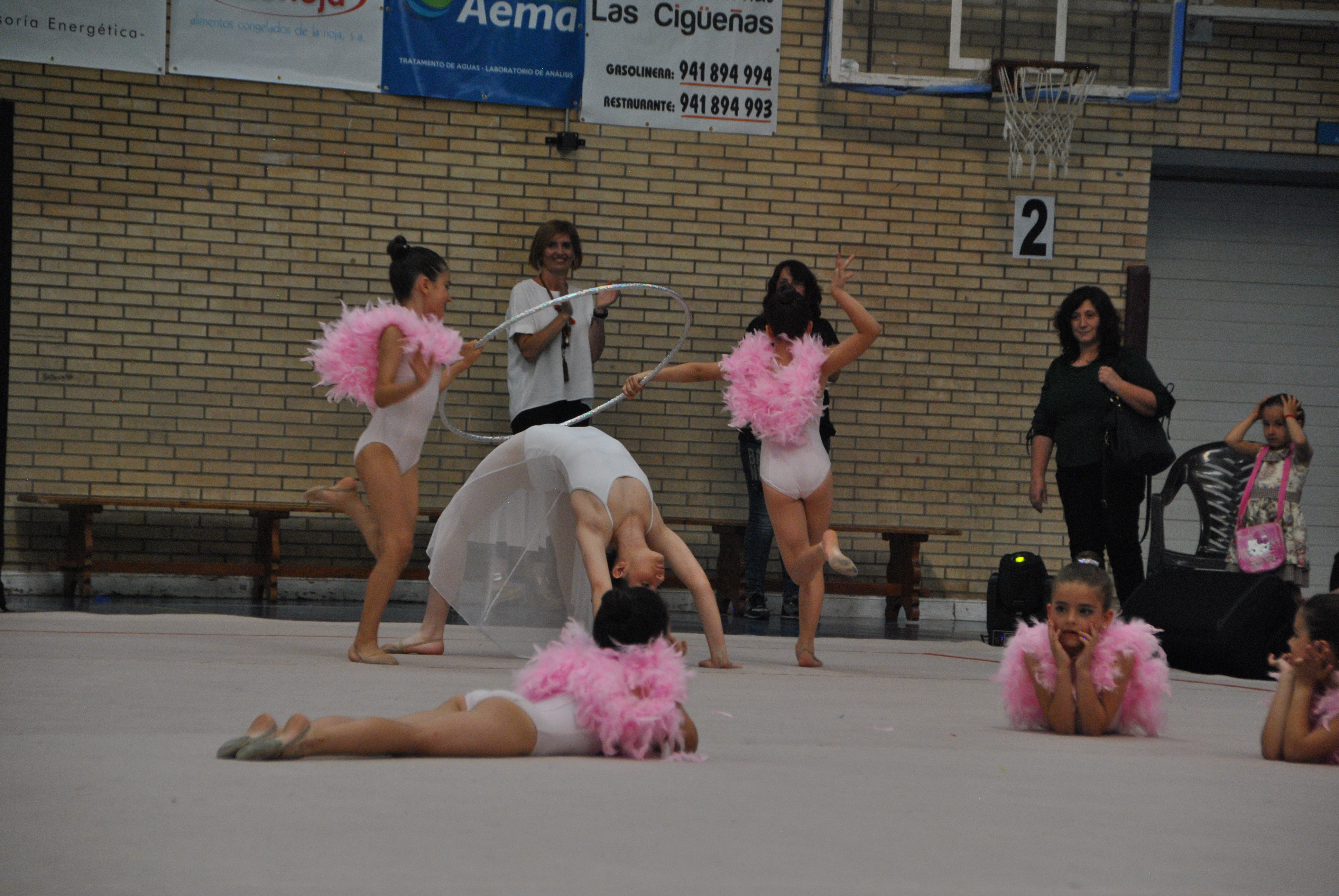 Exhibicion club ritmica Alfaro junio 18 919