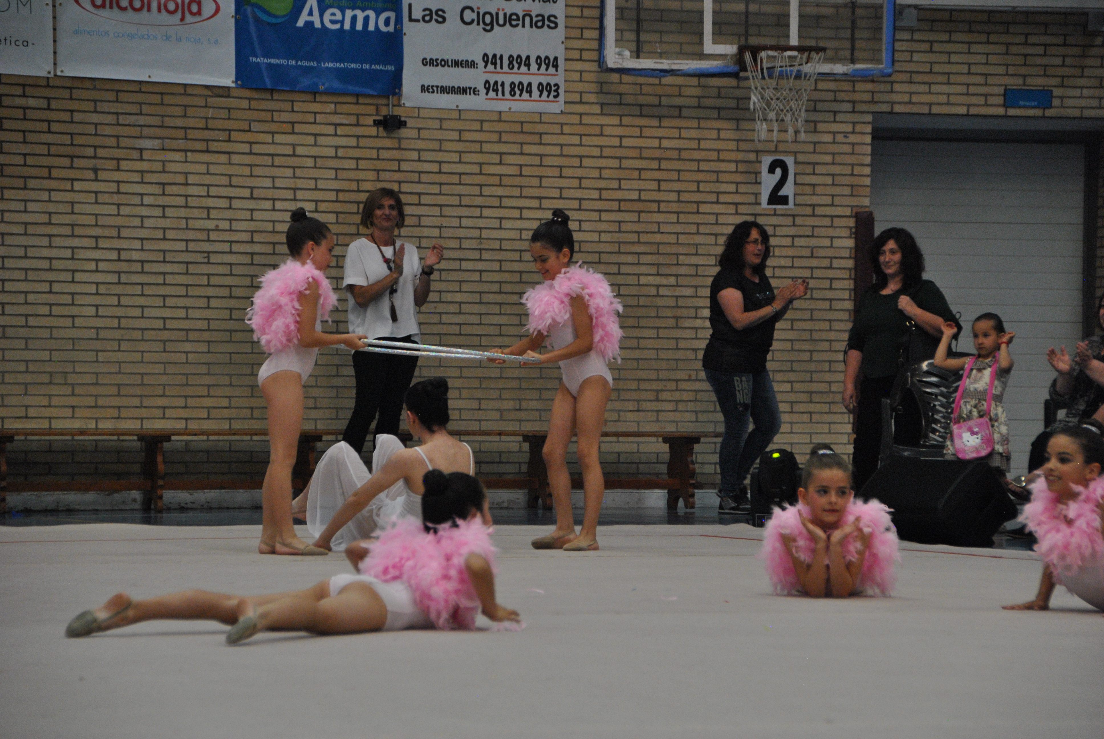 Exhibicion club ritmica Alfaro junio 18 920