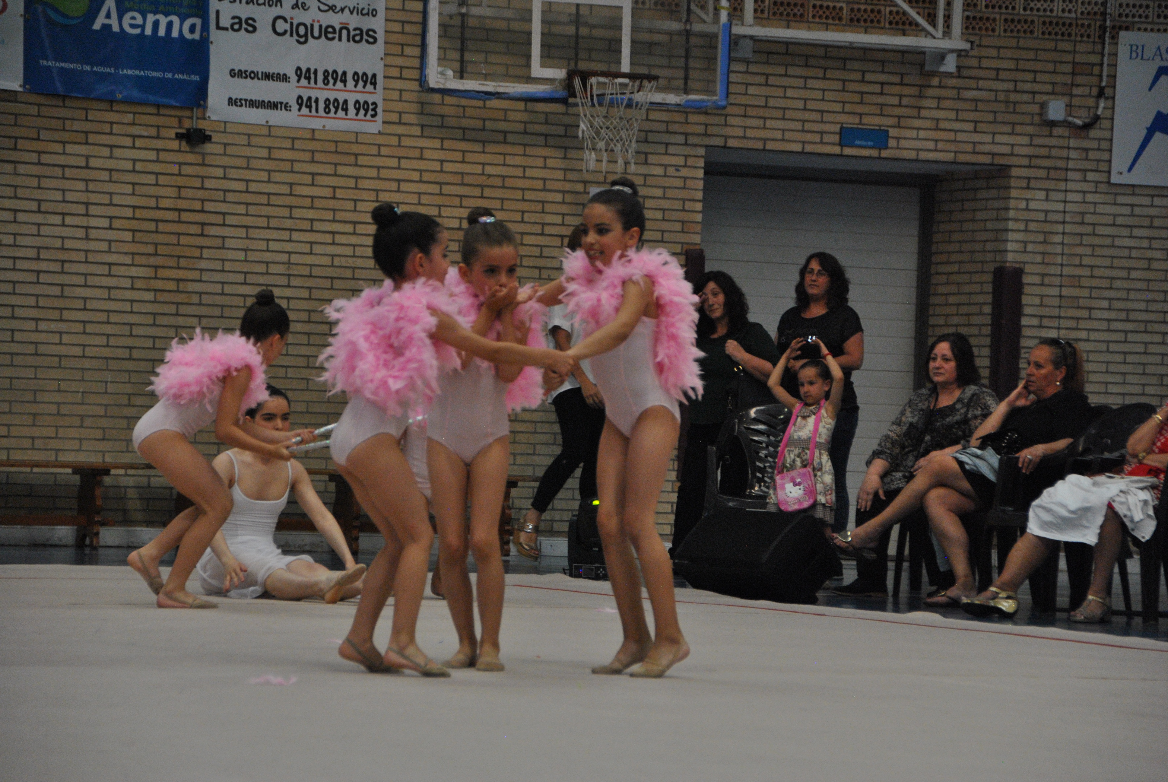 Exhibicion club ritmica Alfaro junio 18 921
