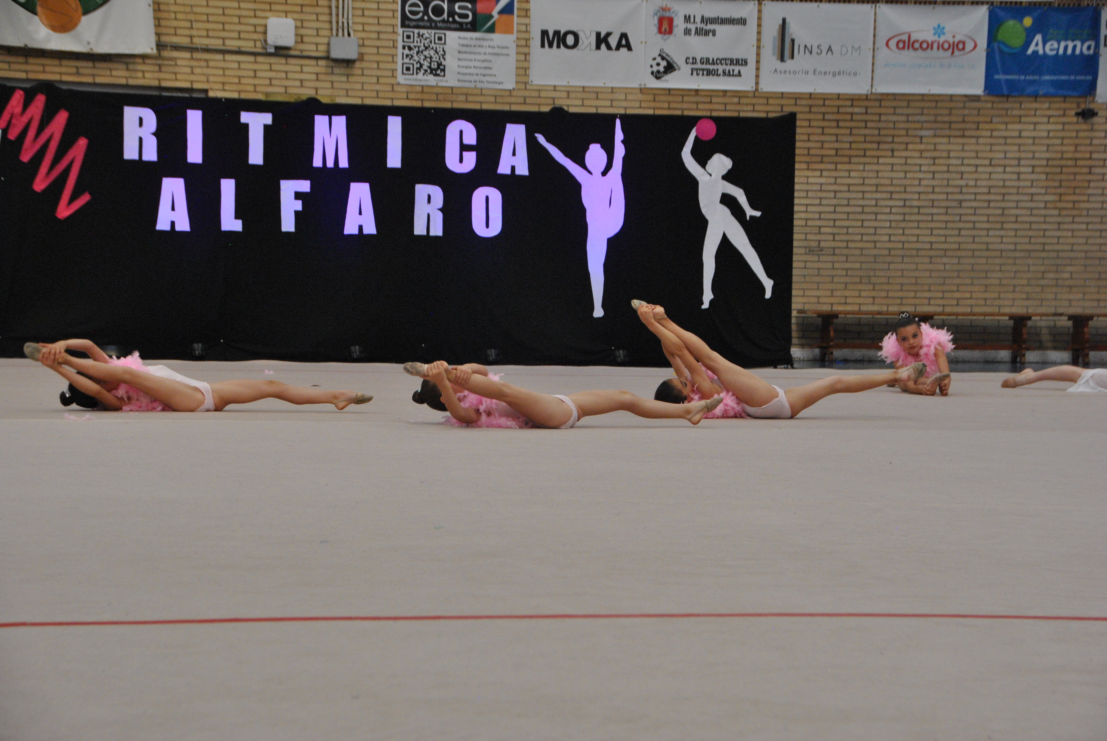 Exhibicion club ritmica Alfaro junio 18 924