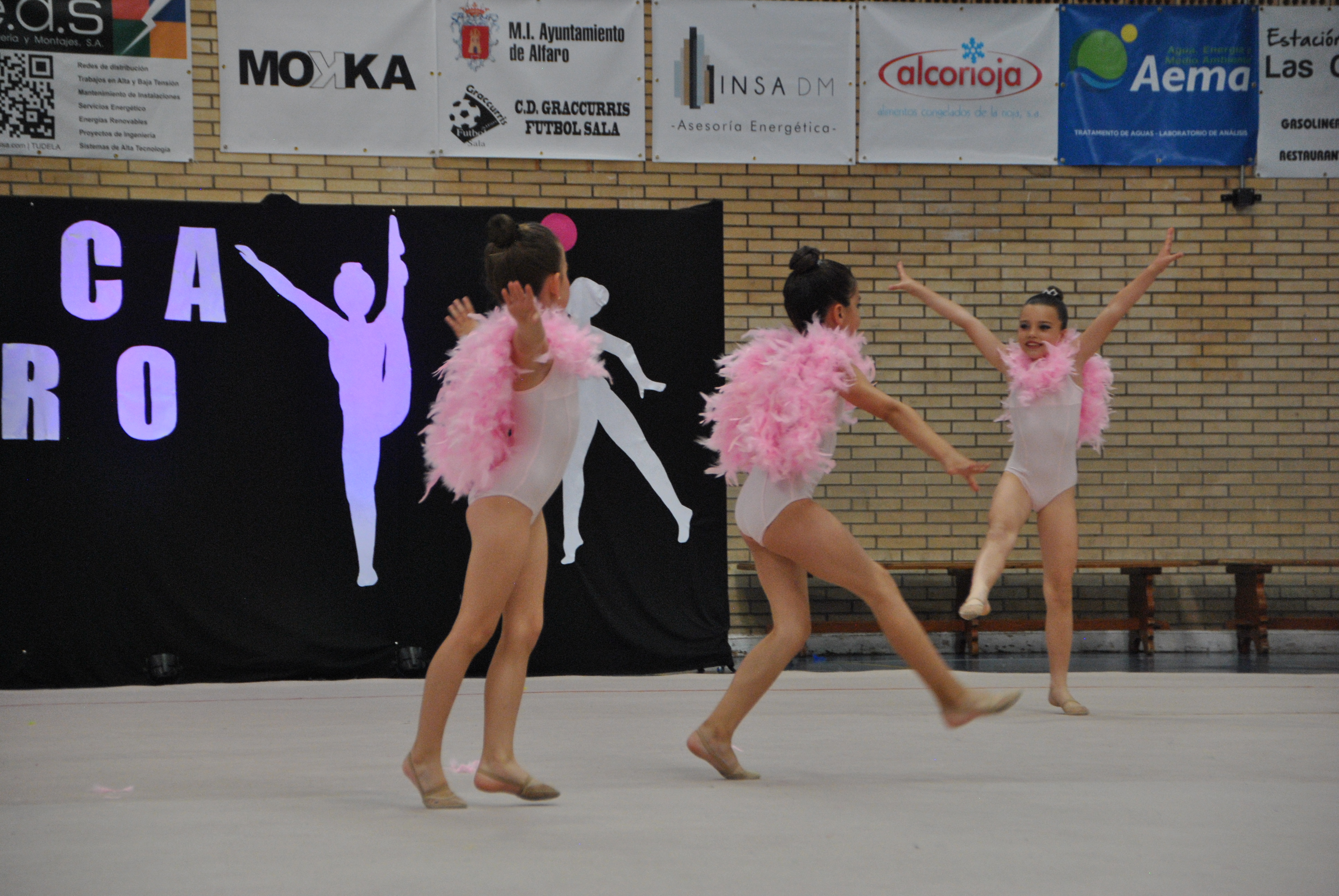 Exhibicion club ritmica Alfaro junio 18 928