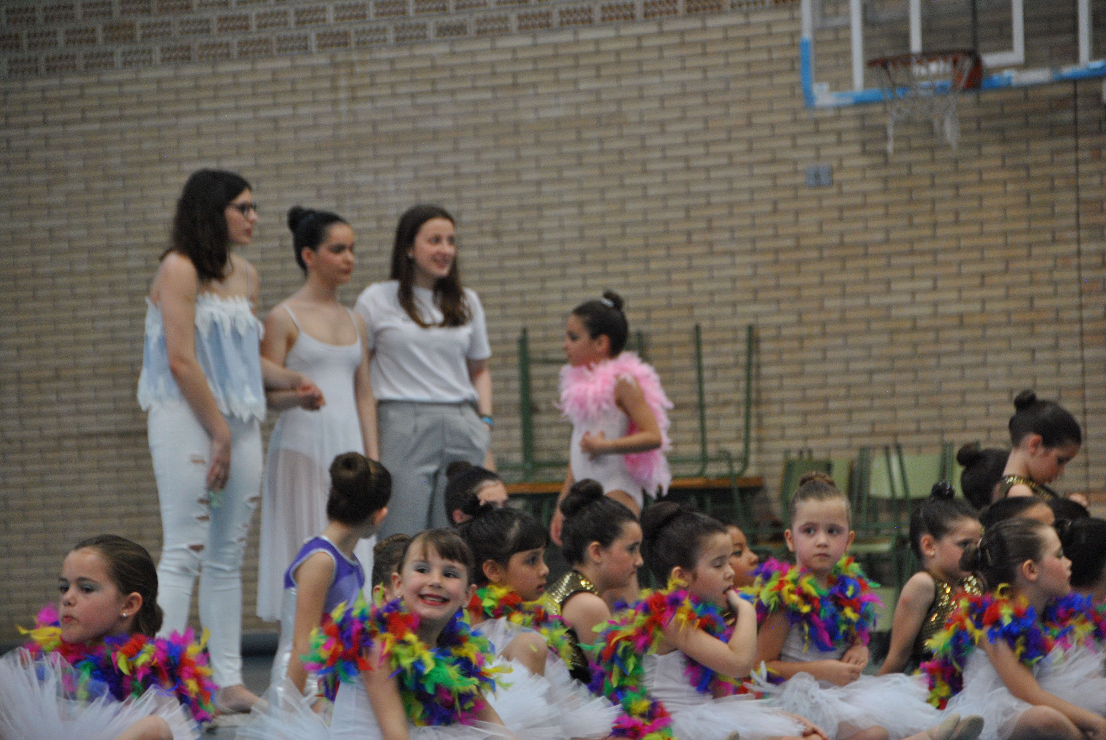 Exhibicion club ritmica Alfaro junio 18 945