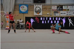 Exhibicion club ritmica Alfaro junio 18 946